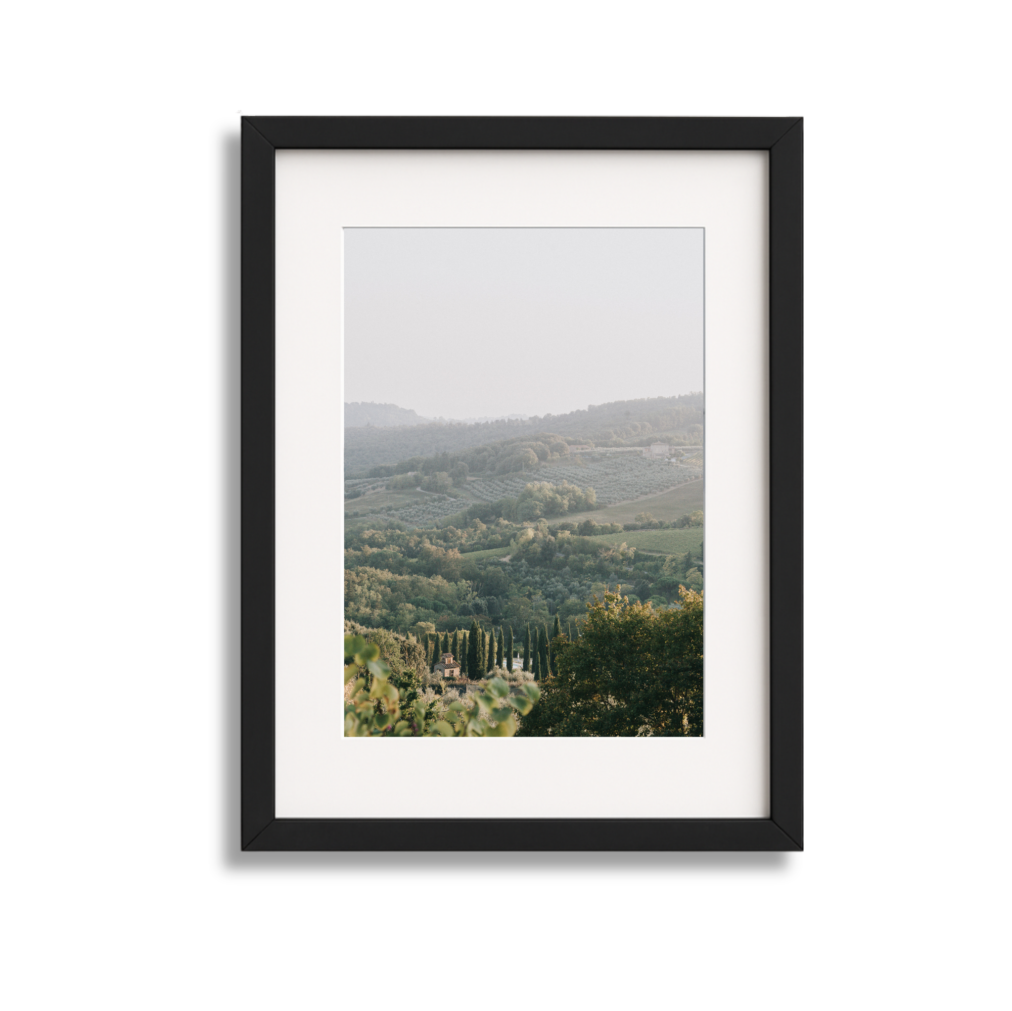 Framed photo of a scenic landscape with rolling hills, trees, and a cloudy sky.