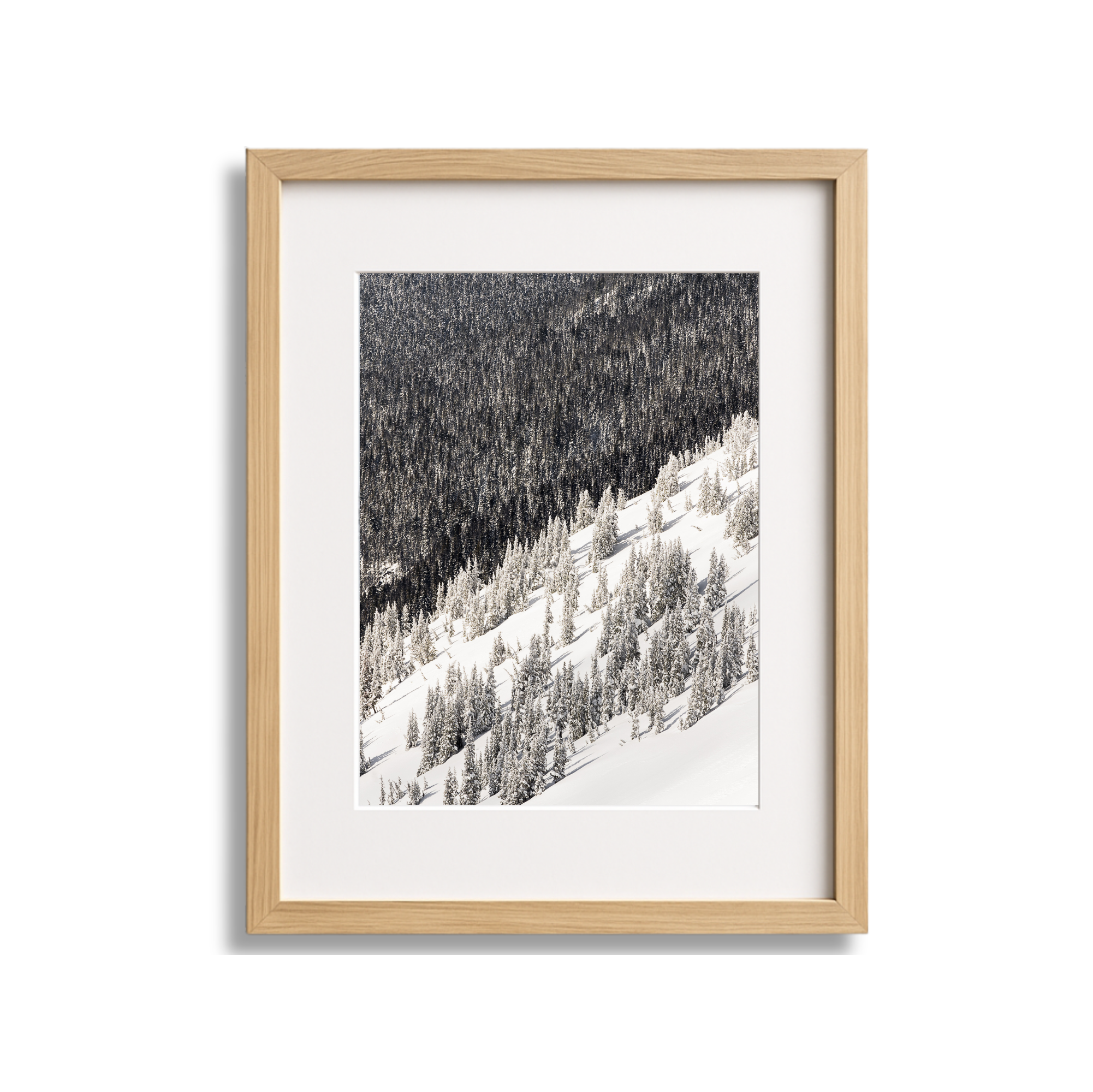 Photograph of snow-covered trees on a mountainside.