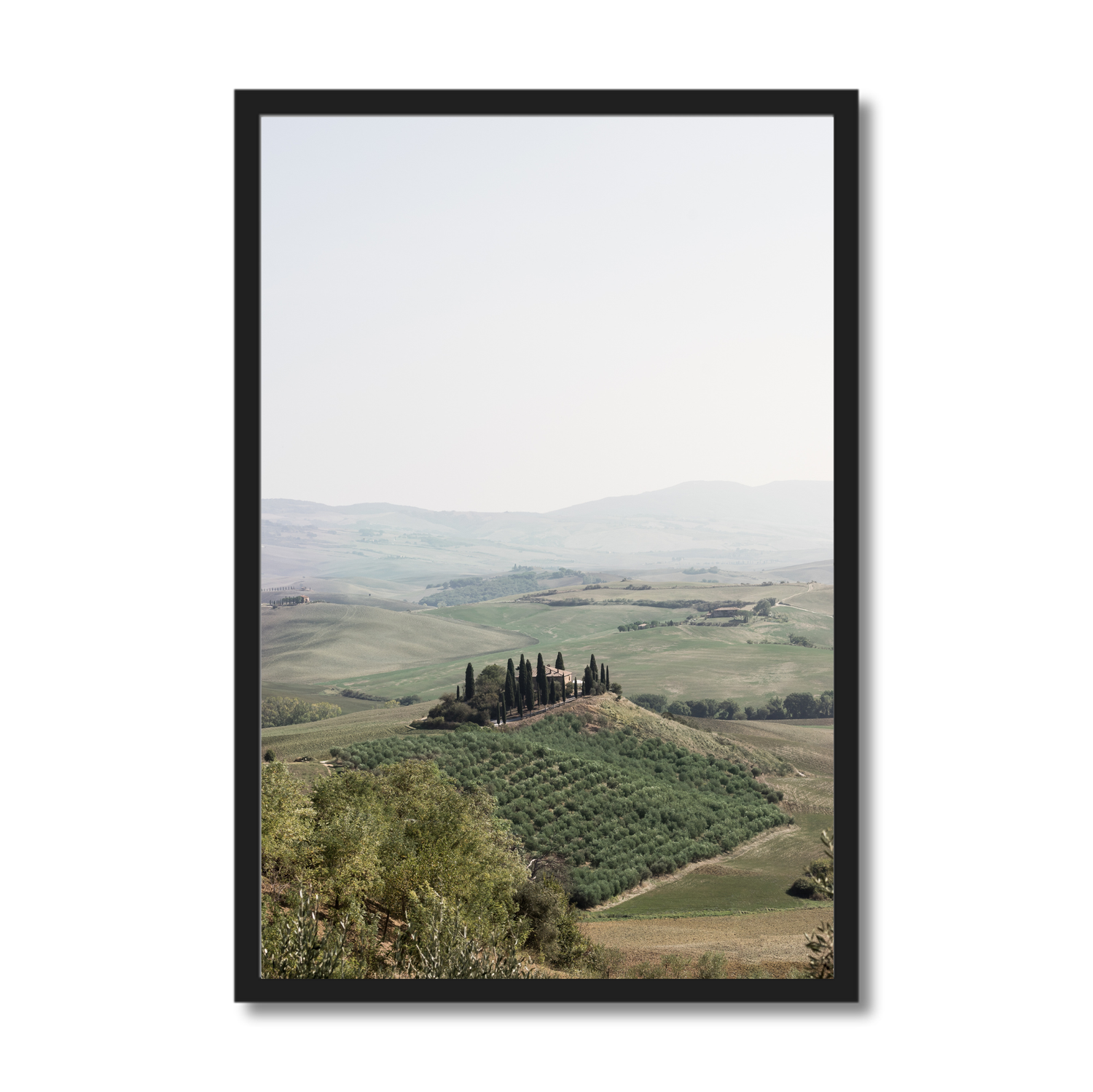 Orcia Haze