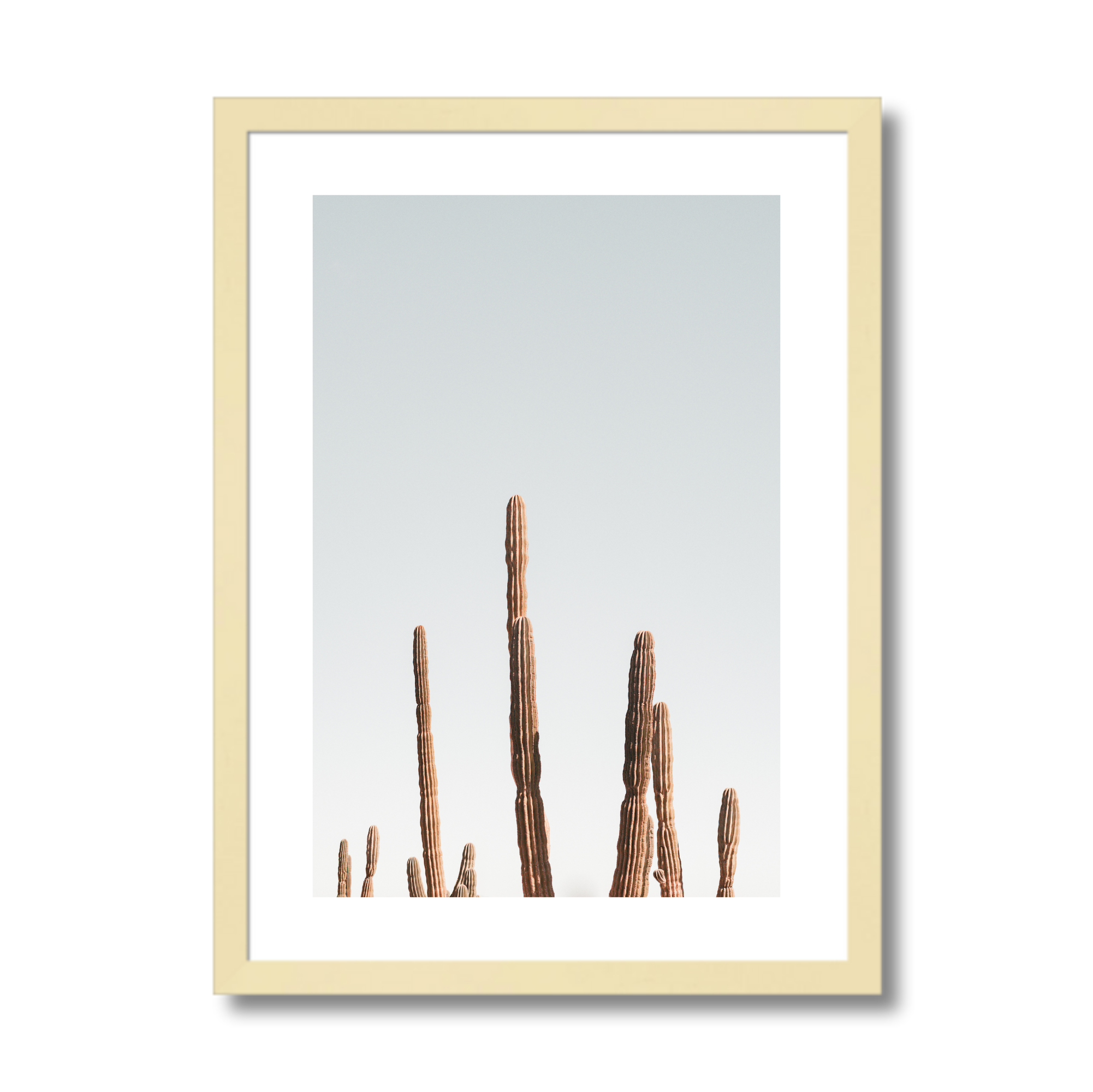 sqsp mat wood.png