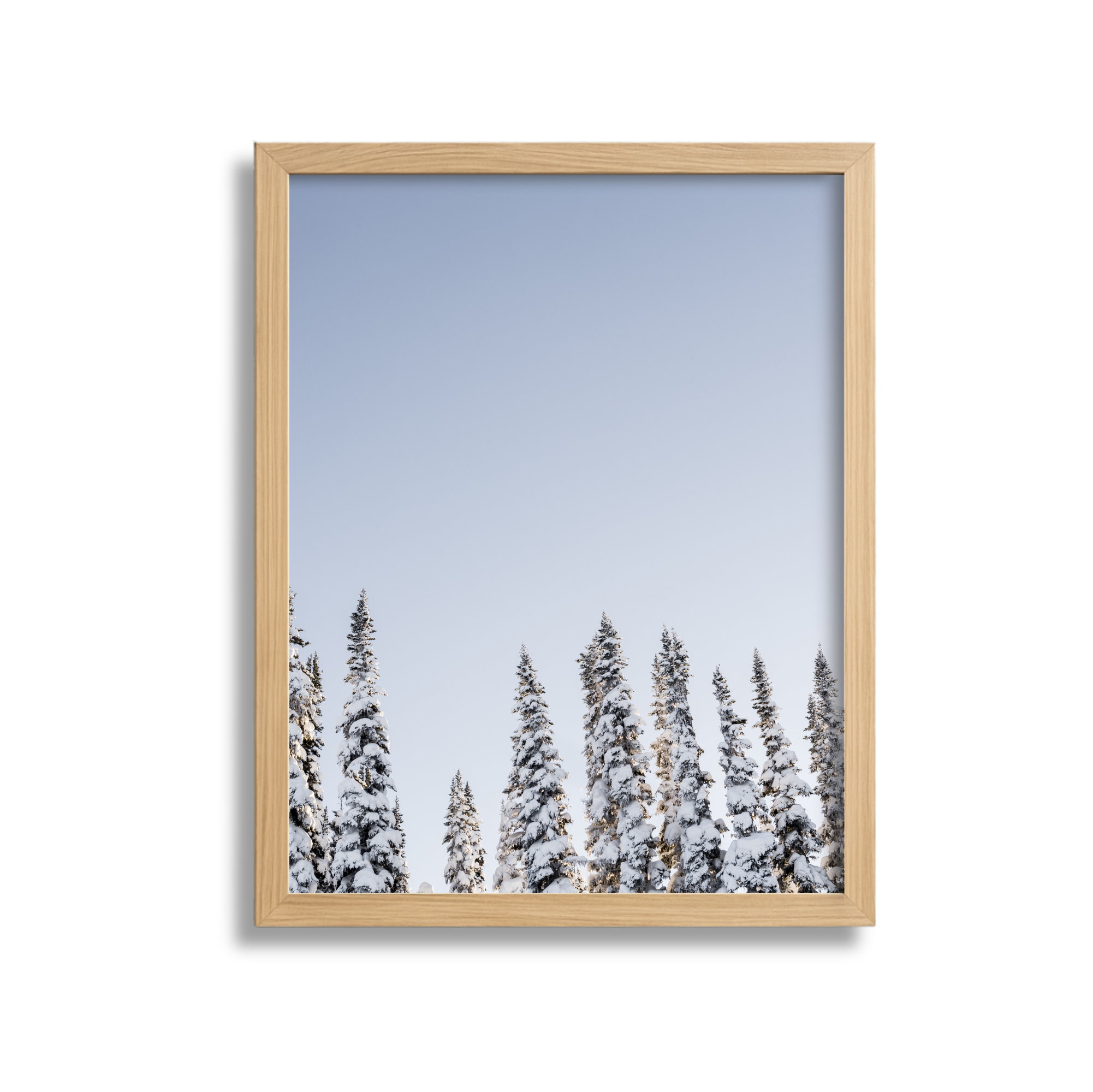 Snow-covered pine trees against a clear blue sky, framed in a light wood frame.