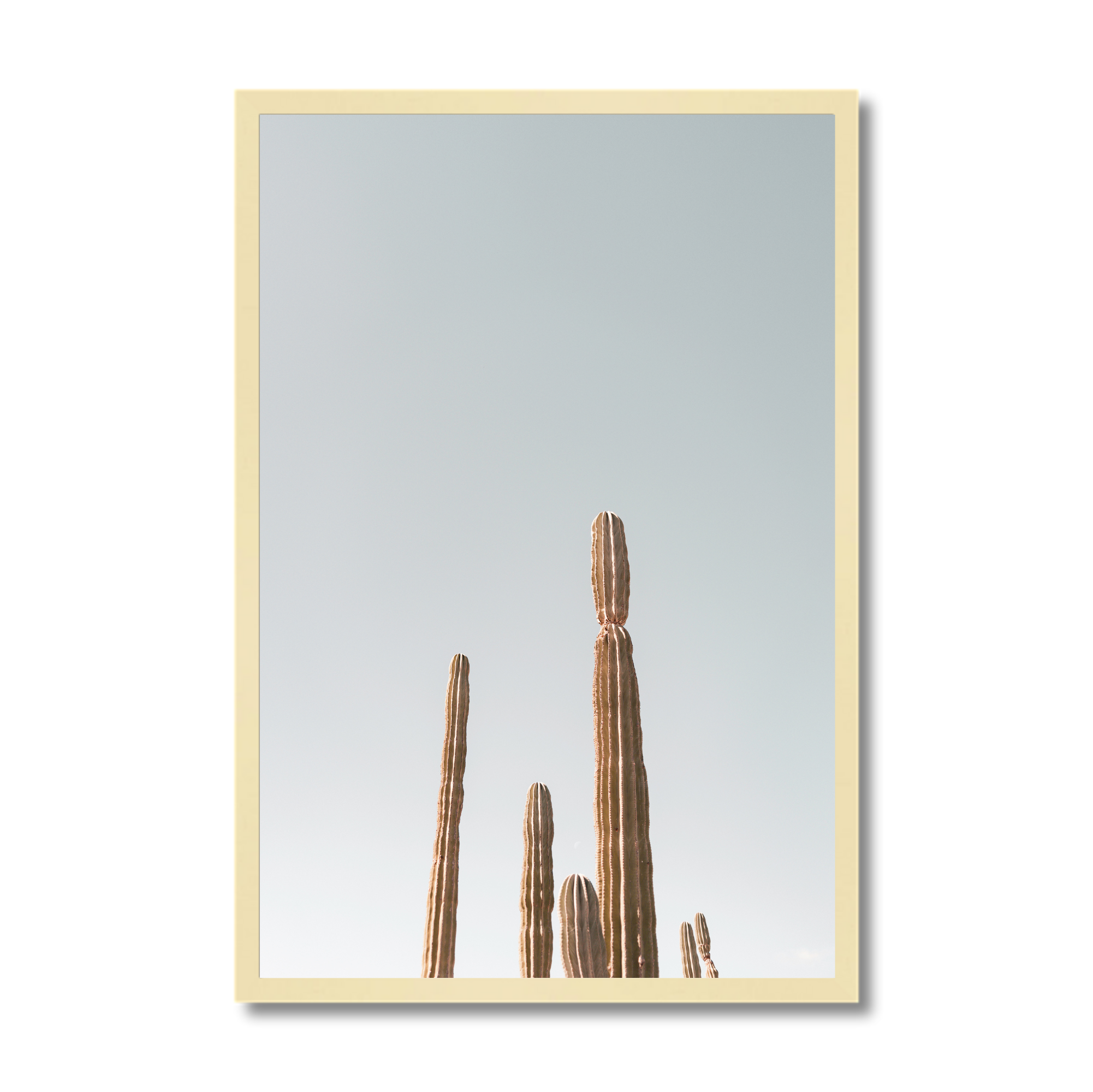 sqsp no mat wood.png