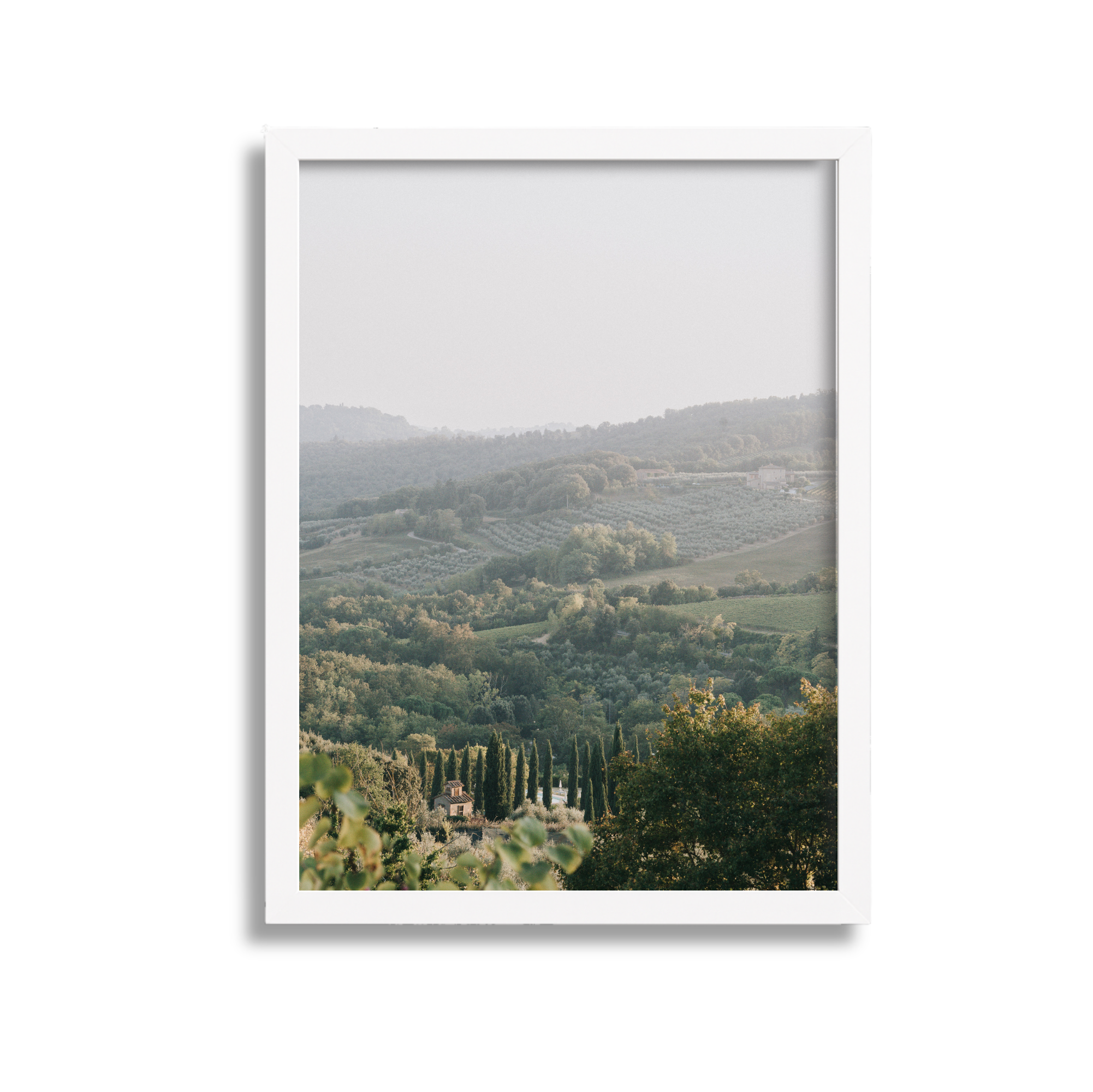 Landscape of rolling hills with trees, vineyards, and a small building, viewed through a window frame.