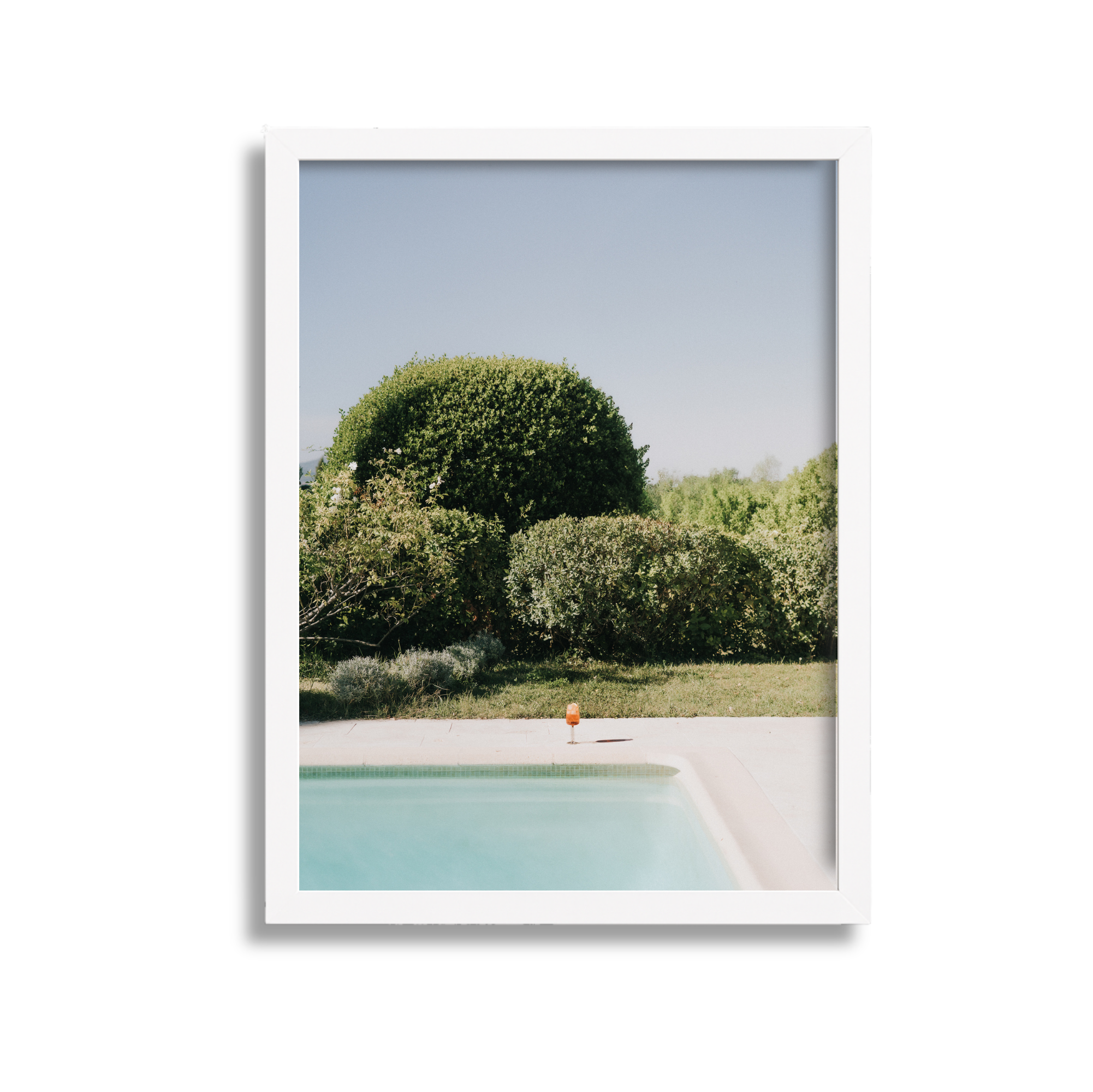 Outdoor scene with a swimming pool, a white poolside ledge, tall green bushes, and trees against a clear blue sky.