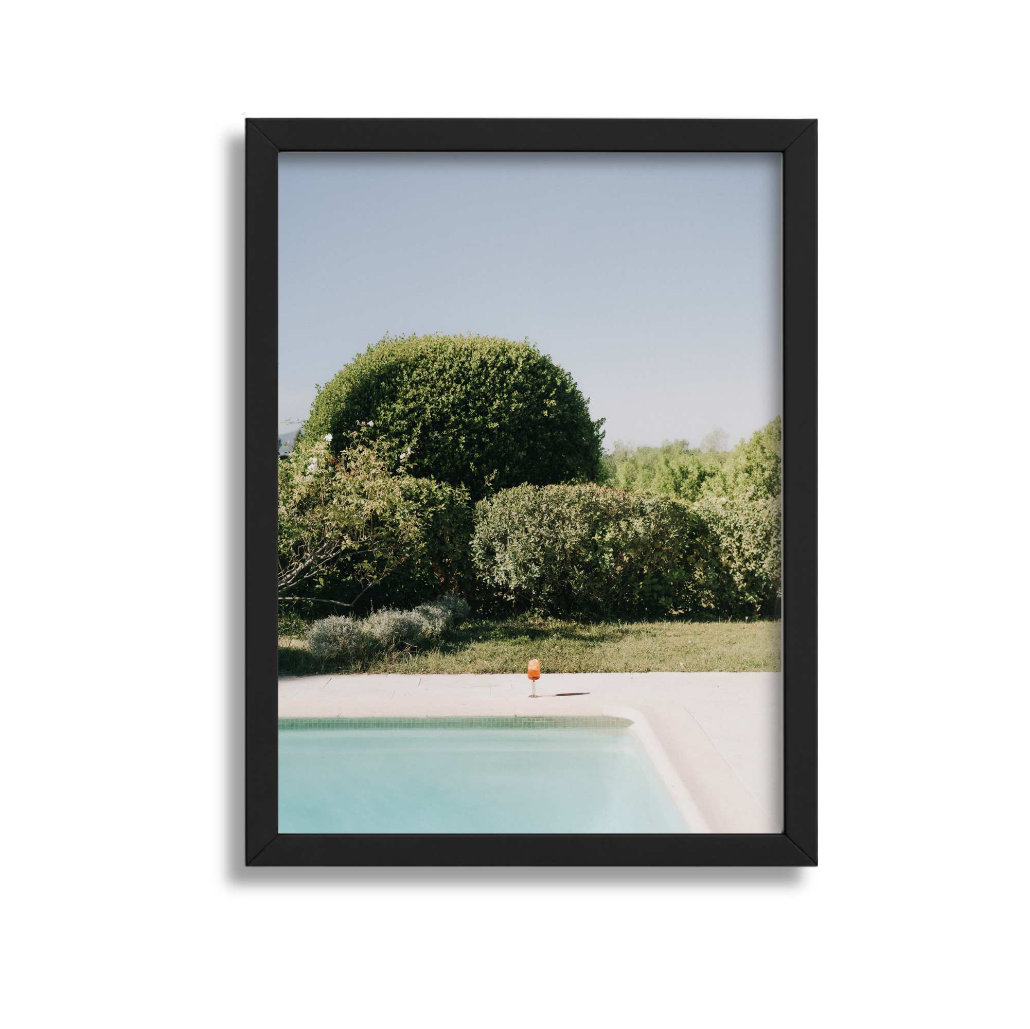 View of a swimming pool with lush green bushes and trees in the background, framed by a black border.