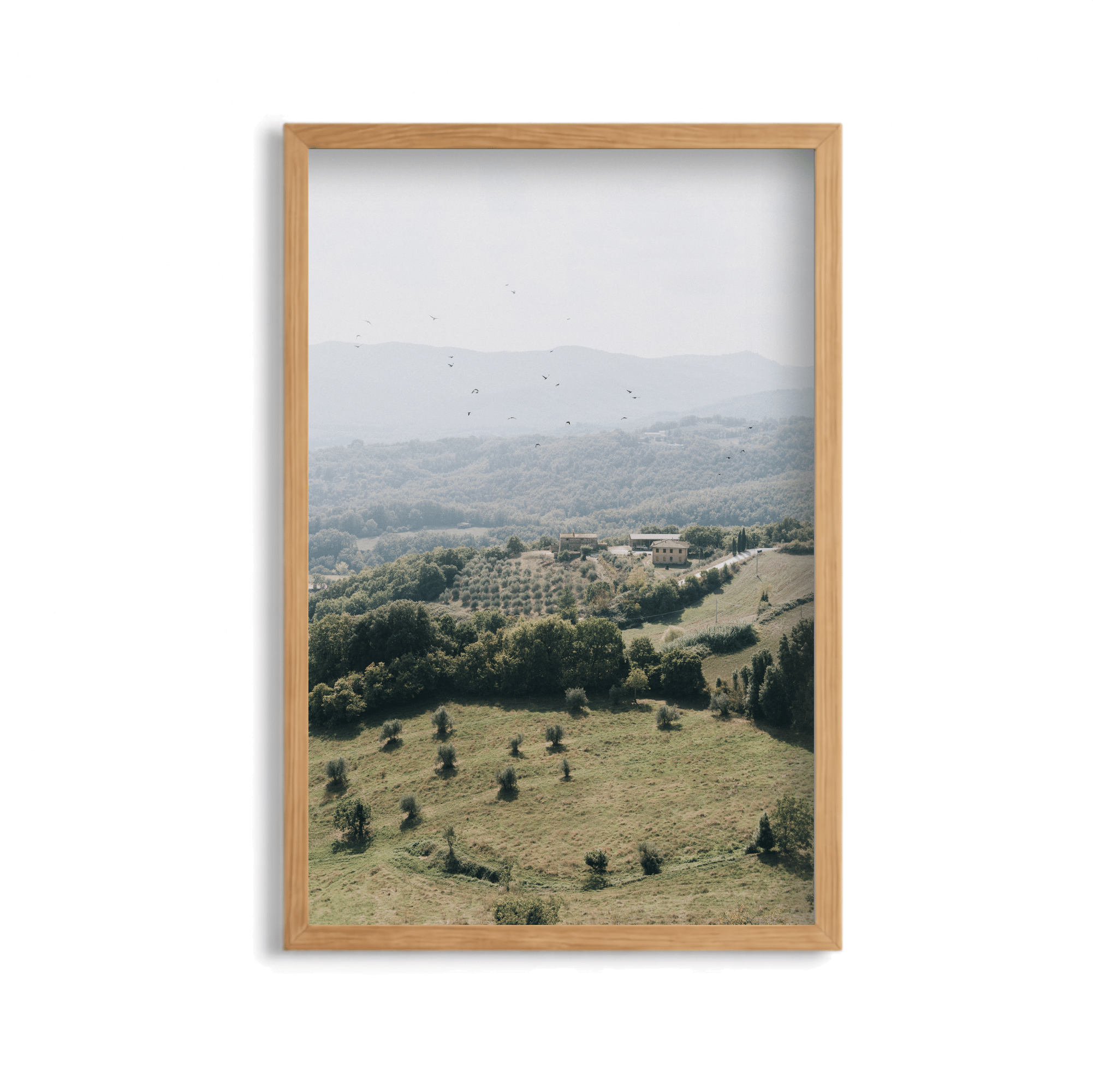Tuscan Hills