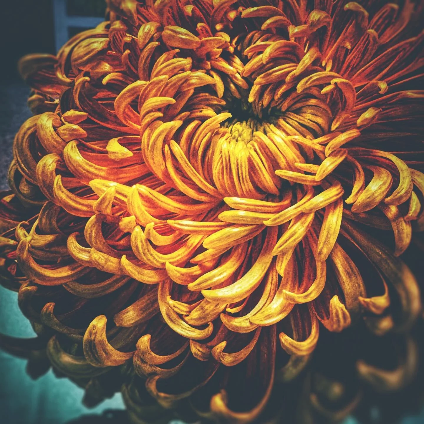 &ldquo;Why do you want to shut out of your life any uneasiness, any misery, any depression, since after all you don&rsquo;t know what work these conditions are doing inside you? Why do you want to persecute yourself with the question of where all thi