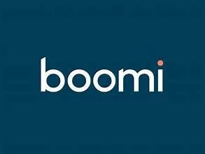 Boomi.jpg