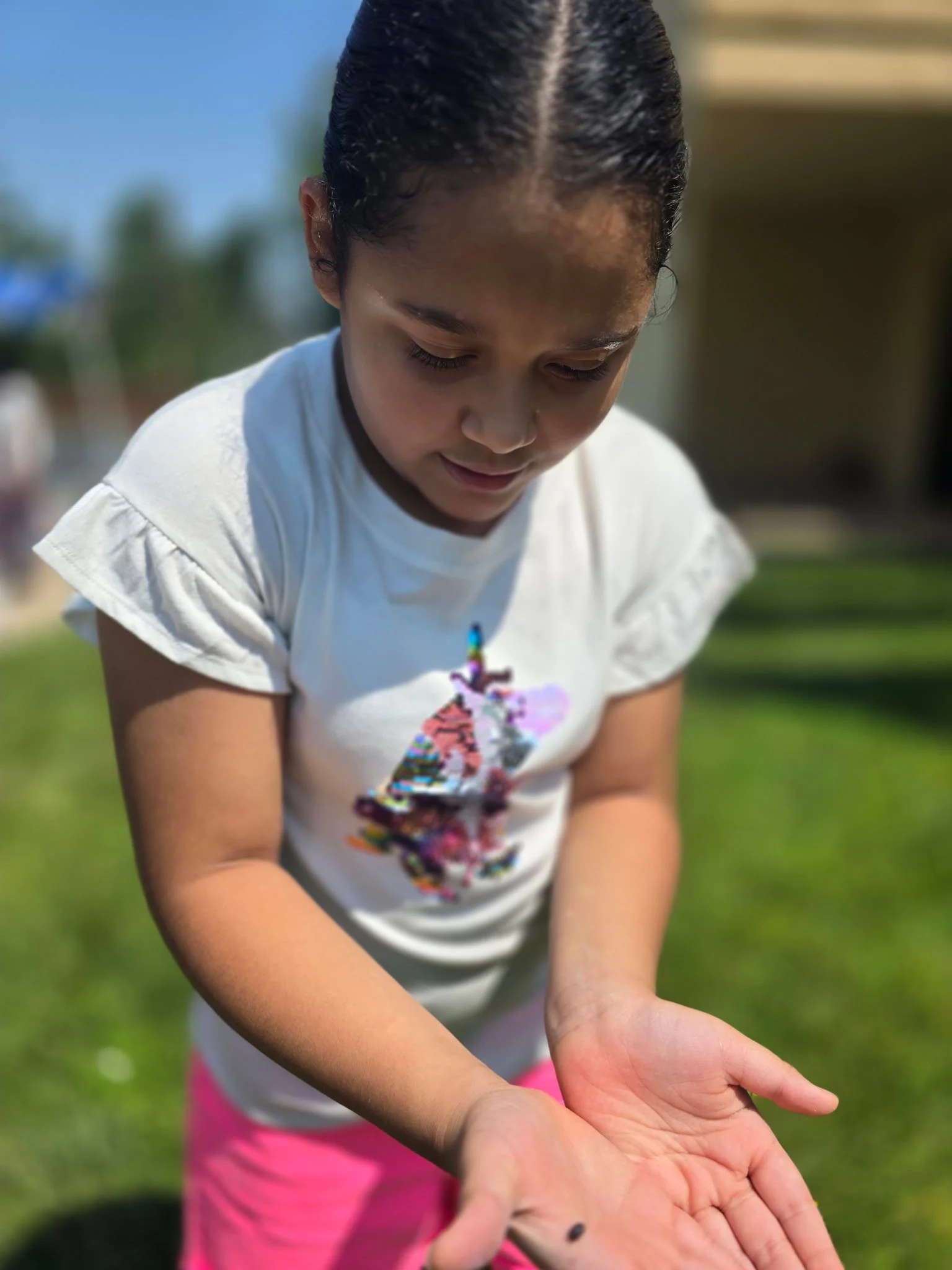 A young girl with dark hair and a white T-shirt showing a colorful design, holding out her hand with a small black object on it, outdoors on a sunny day.