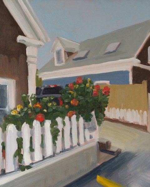 Dahlias at Number 9