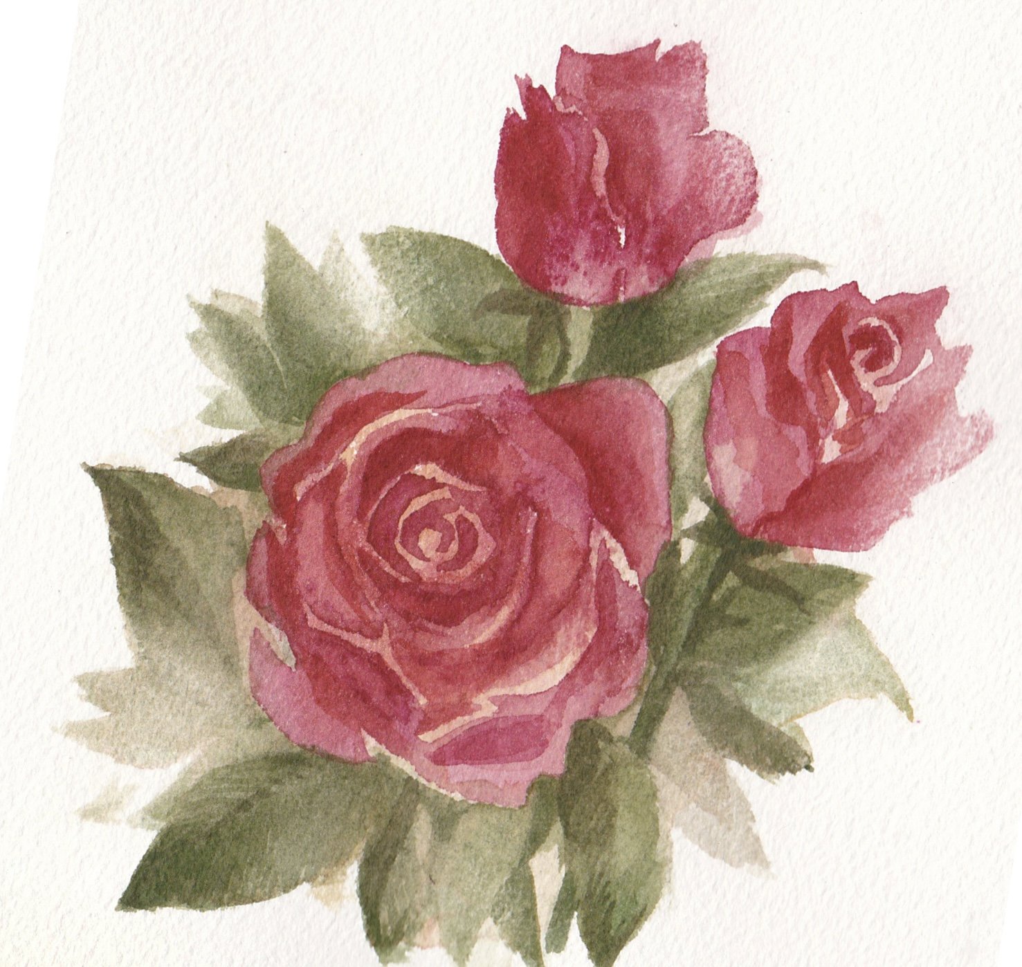 red_roses.jpeg