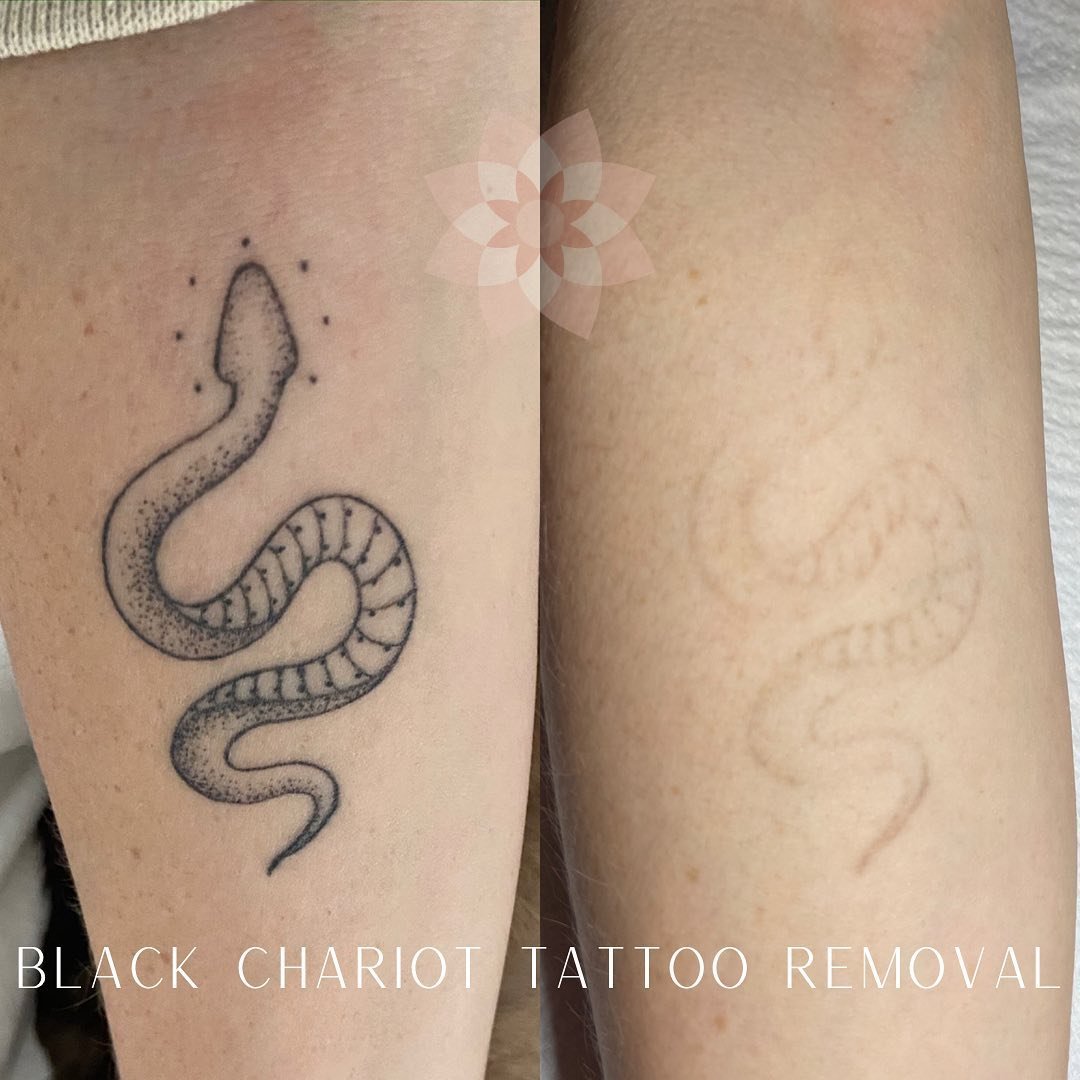 Kenyan Sand Boa by Pat Whiting at Black Chariot Tattoo Binghamton NY  r tattoos
