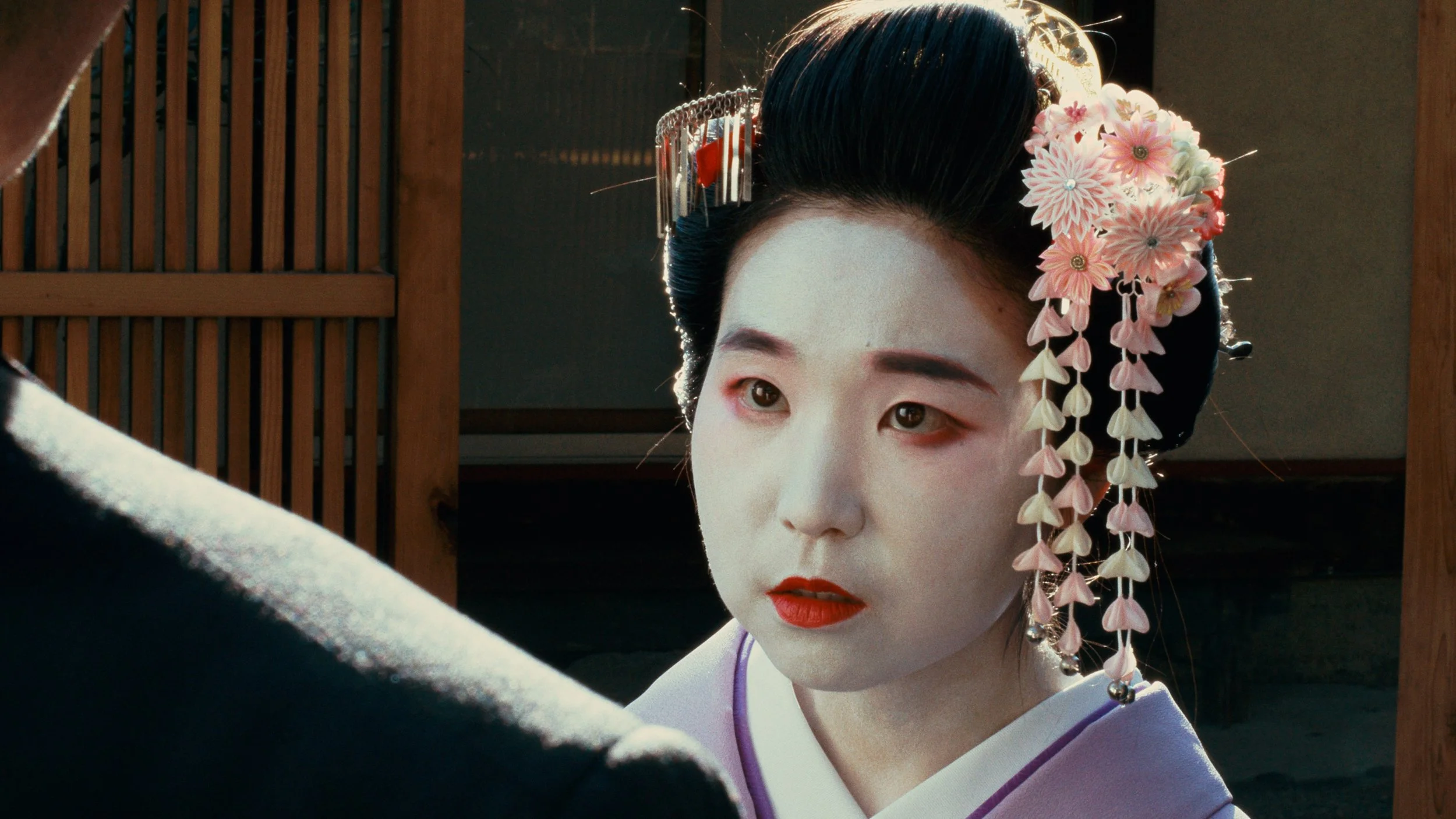 Traditional Japanese Geisha woman in kimono color graded with Kodak Ektachrome film LUT