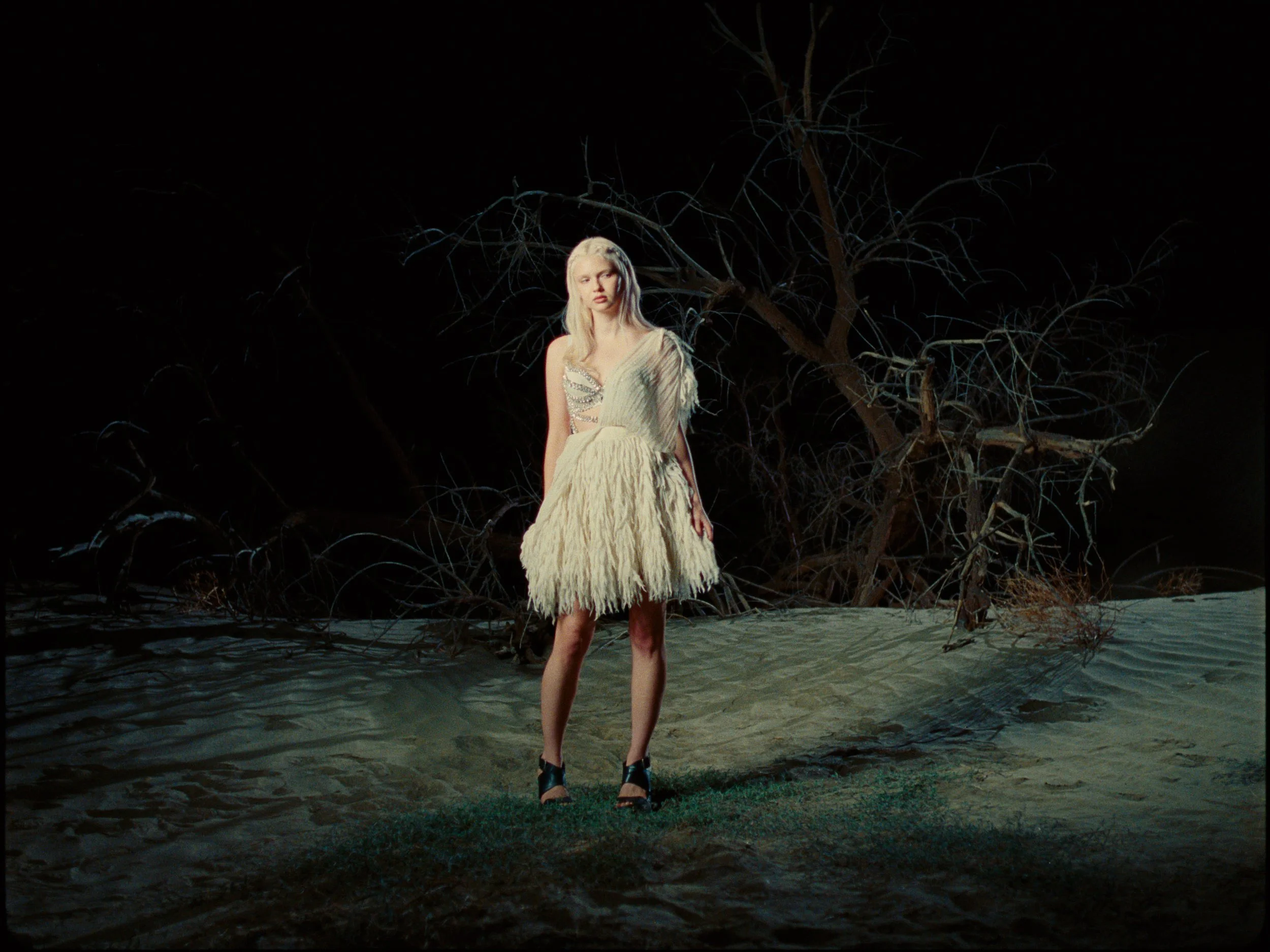 Screenshot 2026-02-09 at 7.46.59 AM (4).jpg