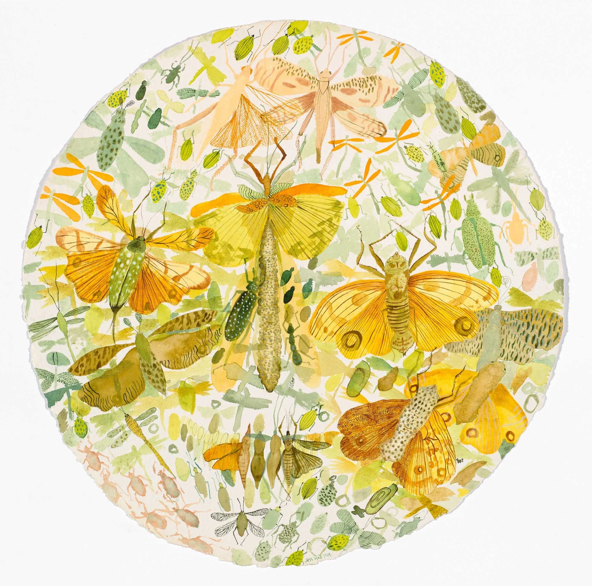 Arthropod Overlay 01, ink and watercolour on watercolour paper, 70cm diameter 2019