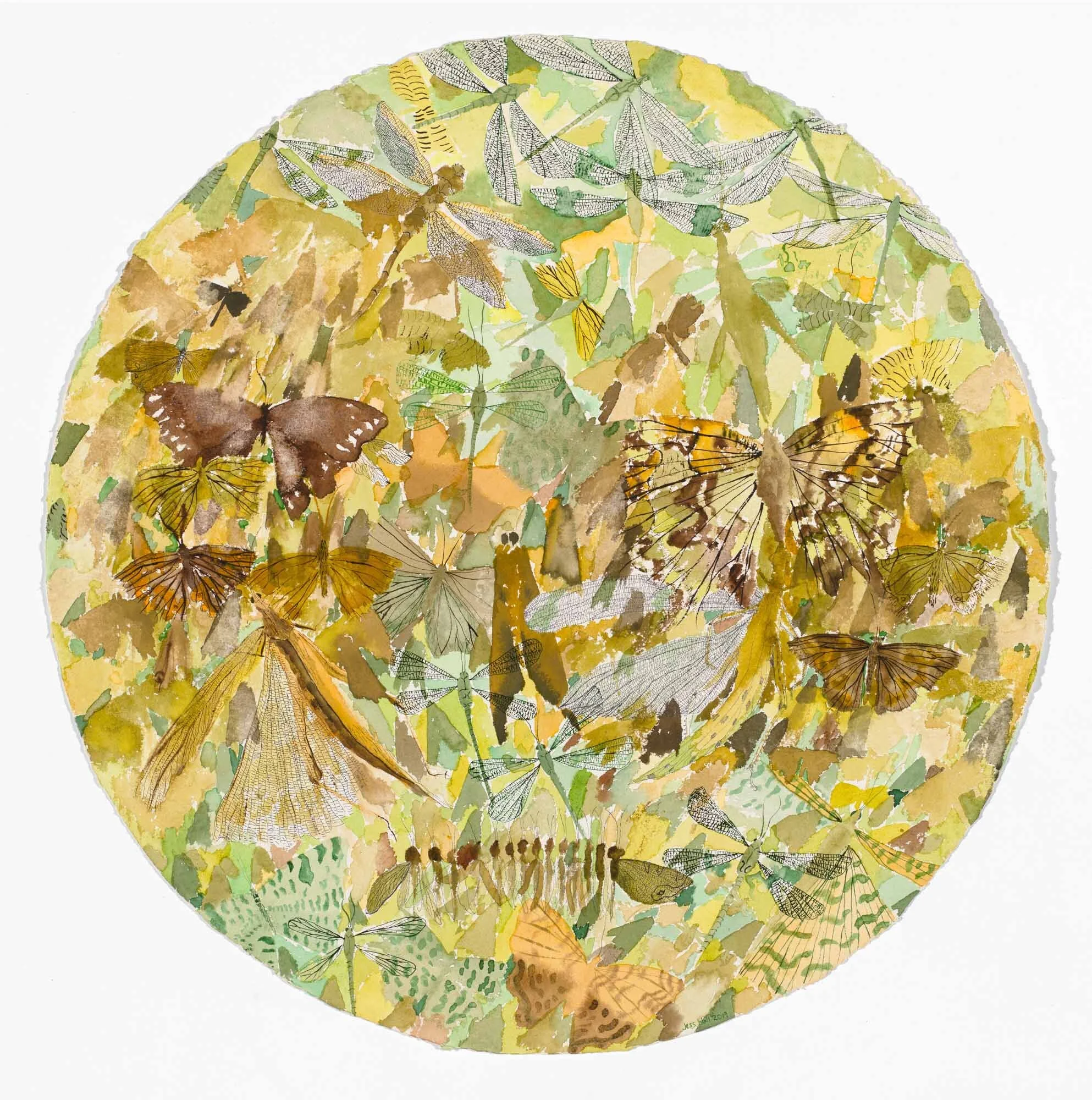 Arthropod Overlay 02, ink and watercolour on watercolour paper, 70cm diameter 2019