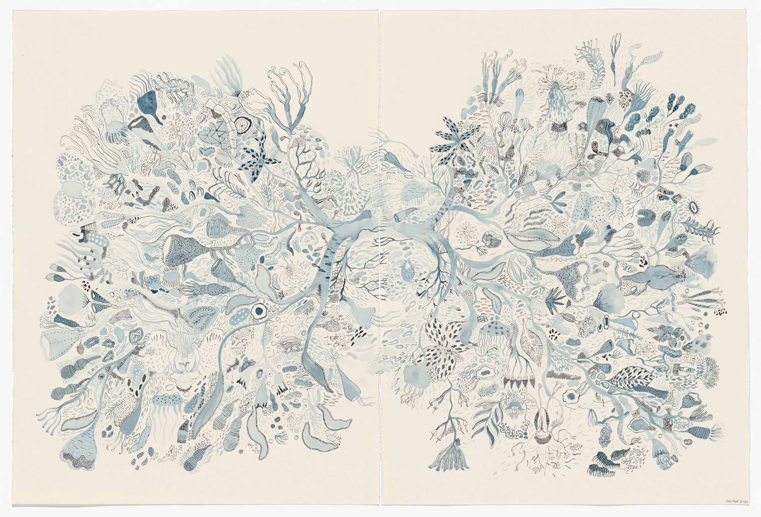 Breath , Ink and watercolour on watercolour paper, 76cm x 112cm 2020   Breath  depicts botanical, anatomical and cellular imagery, using Australian and European flora to create hybrid forms that articulate an imaginary science.&nbsp; Colour relationships are tonal with the use of painterly techniques, underscored by descriptive drawing, which references scientific illustration and is influenced by aspects of printmaking, textiles and pattern.&nbsp;