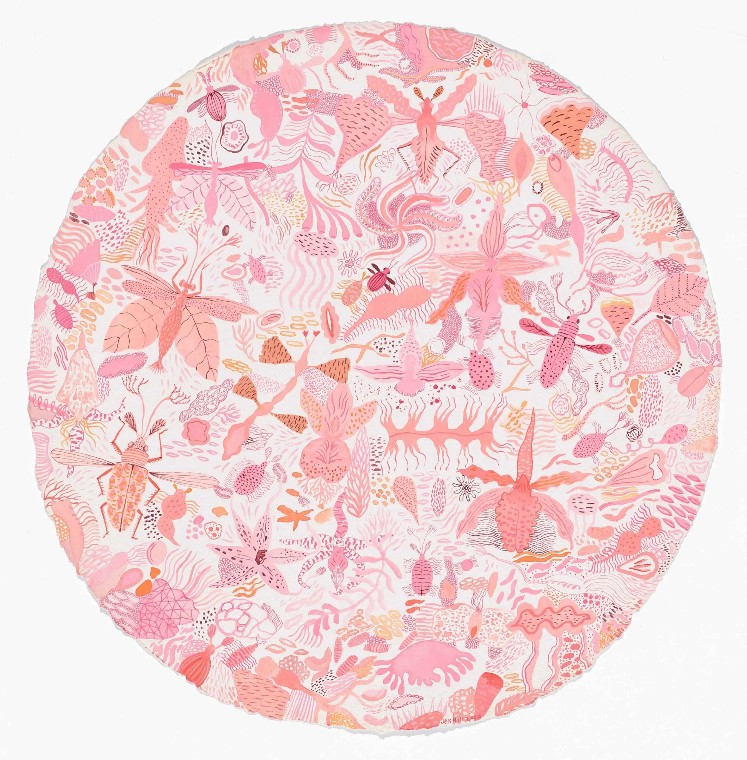 Nucleus , ink and watercolour on paper 70cm diameter 2020