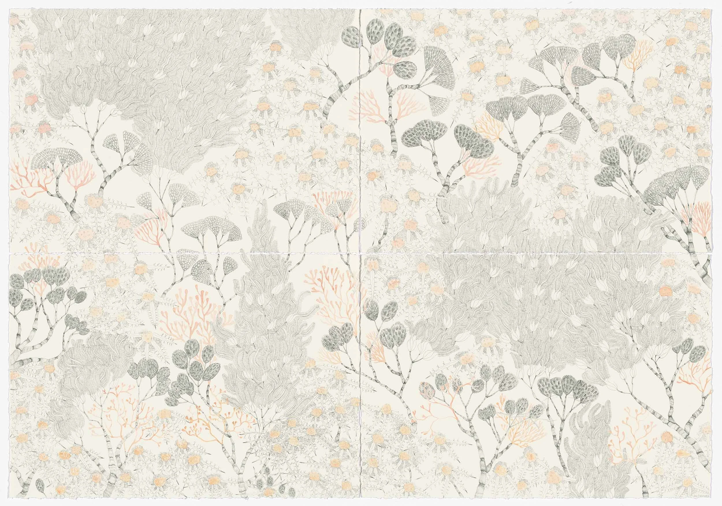 Stem , ink and watercolour on watercolour paper, 82cm x 117cm 2020