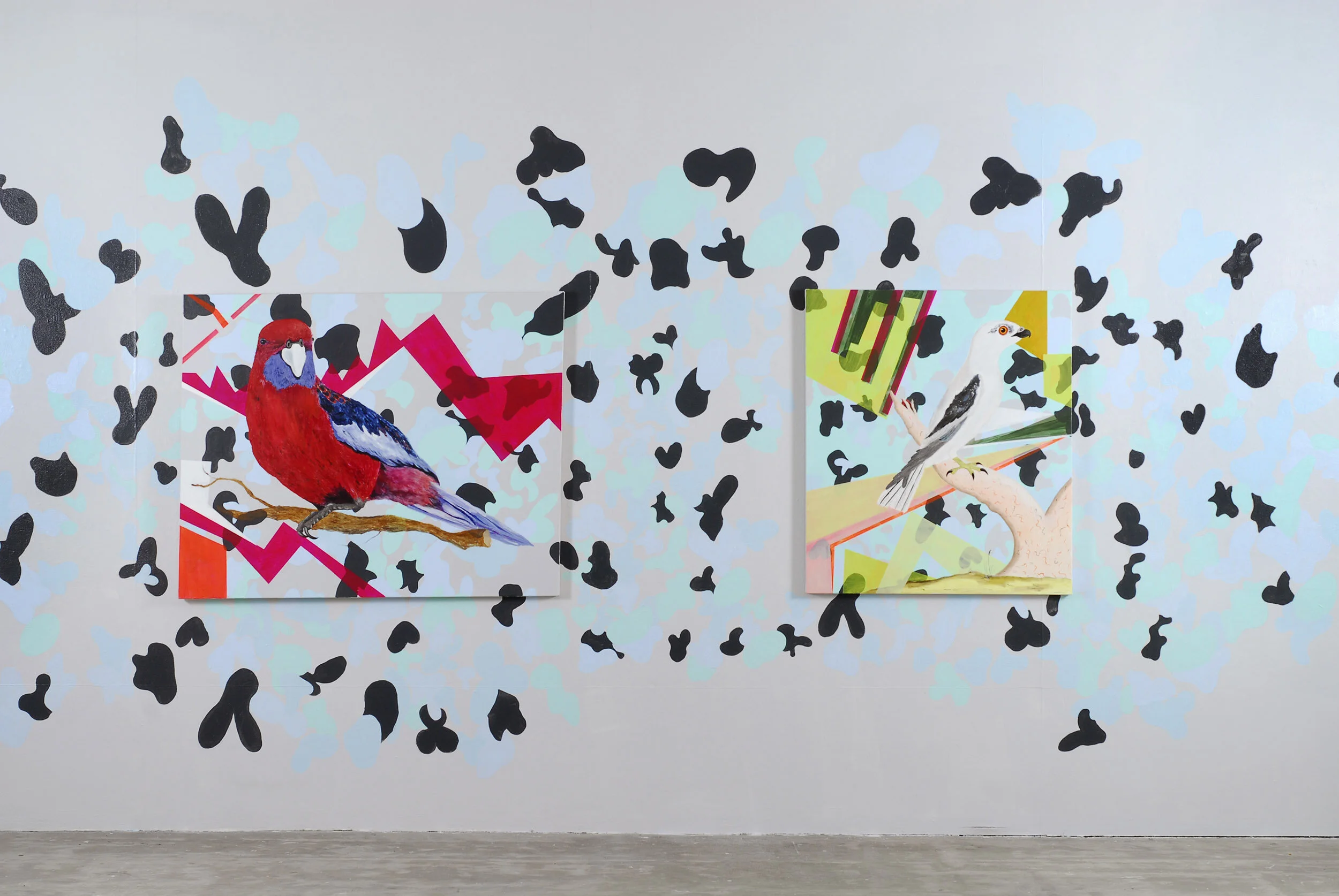 Camouflage Birds, installed at the Postgraduate Gallery at VCAM