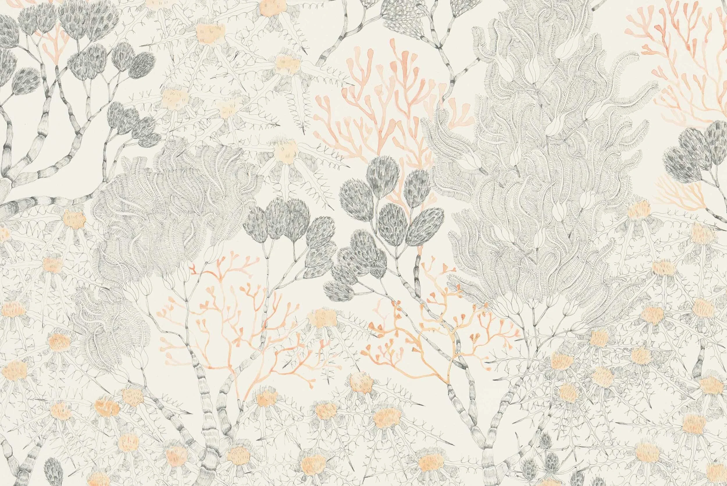 Detail image of Stem, ink and watercolour on watercolour paper