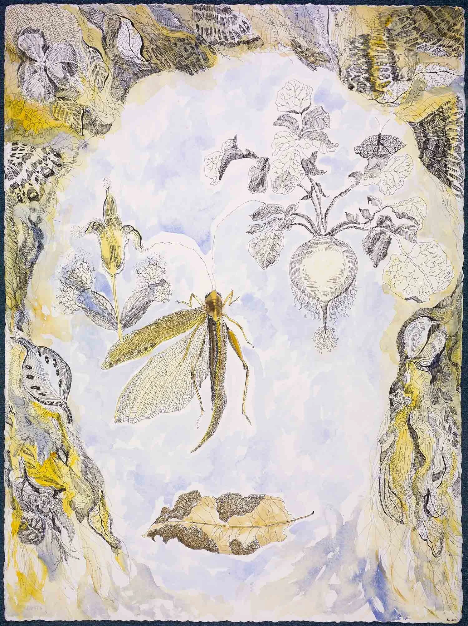 Botanical Portrait 01 watercolour and ink on paper 76cm x 56cm 2011