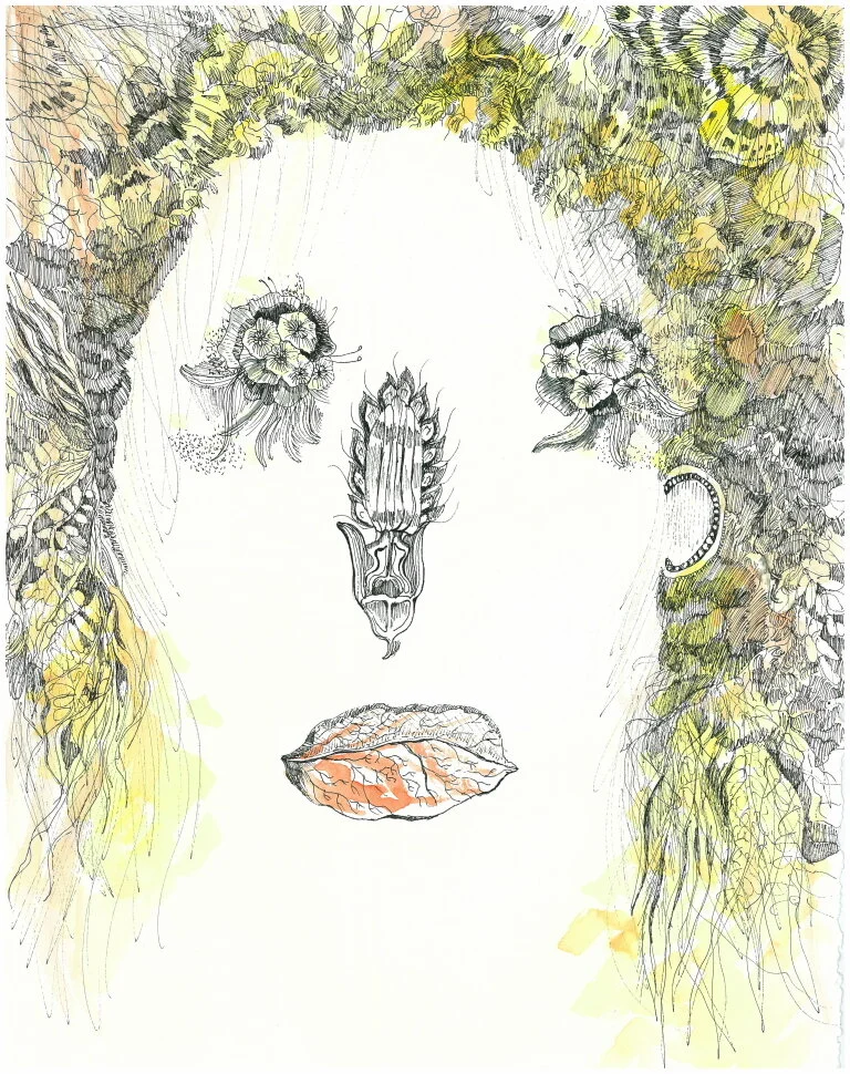 Botanical Portrait 04 watercolour and ink on paper 30cm x 25cm 2010