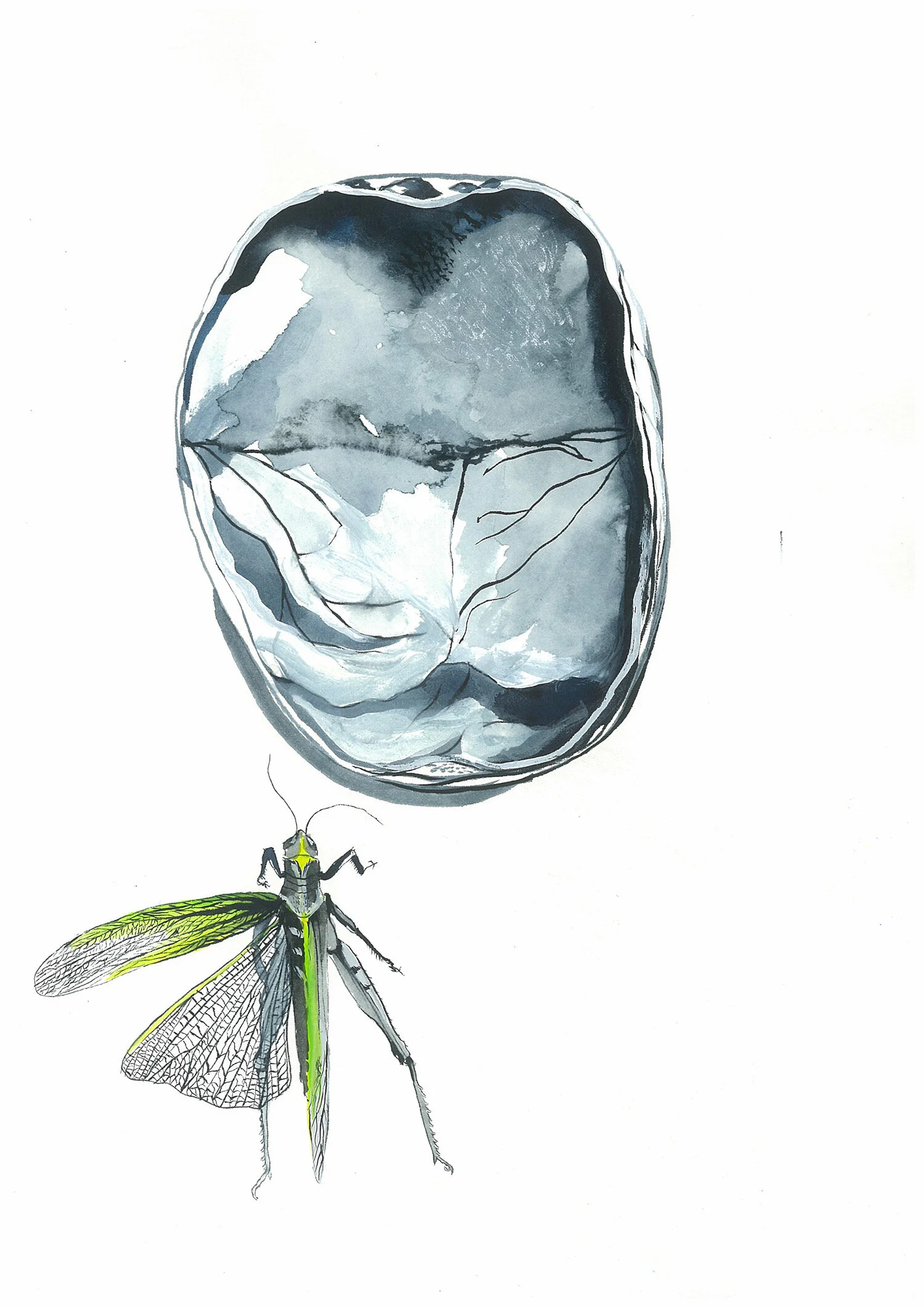 Exhibition St Heliers Street Gallery