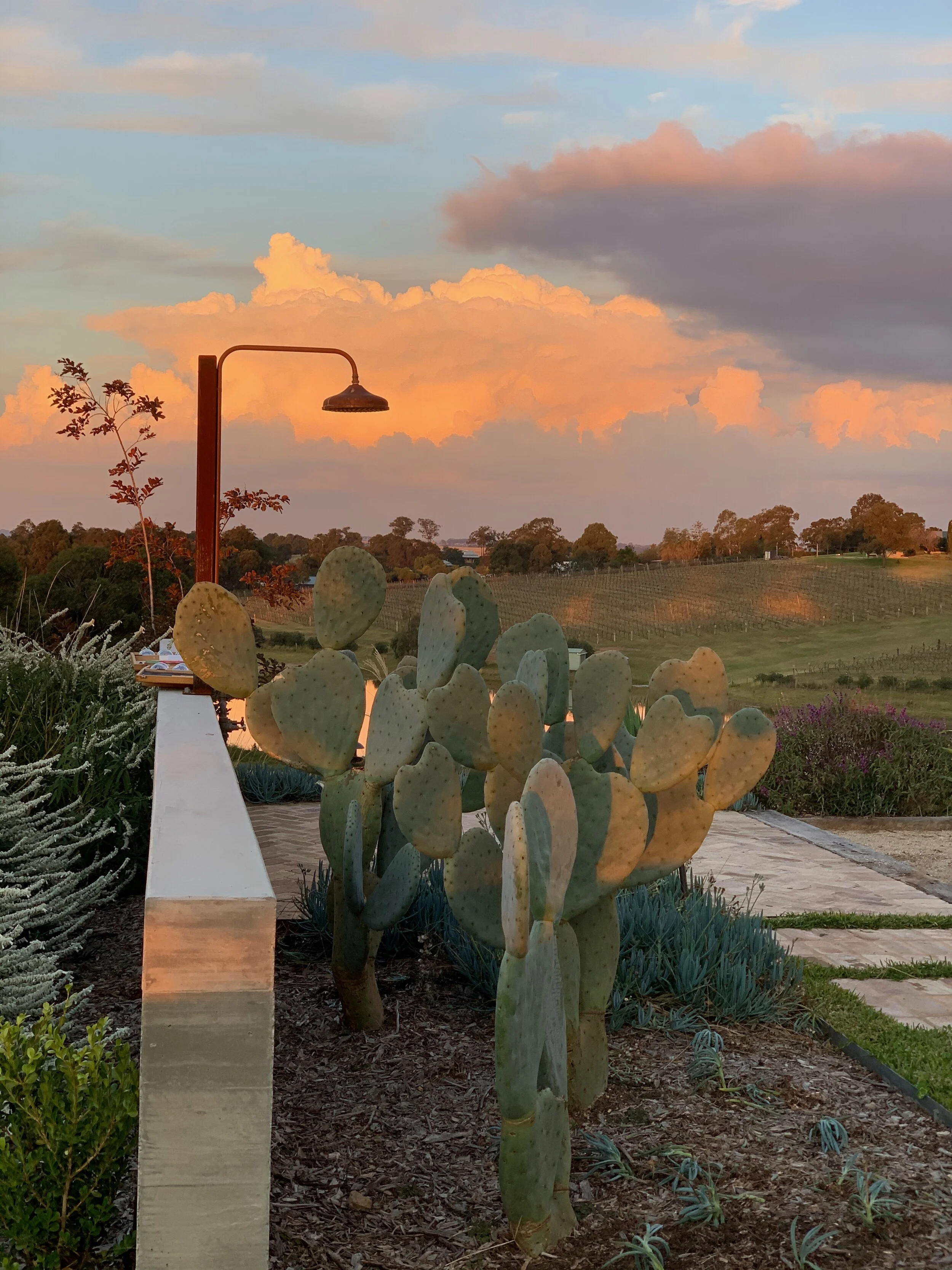 About — Jindalee Estate