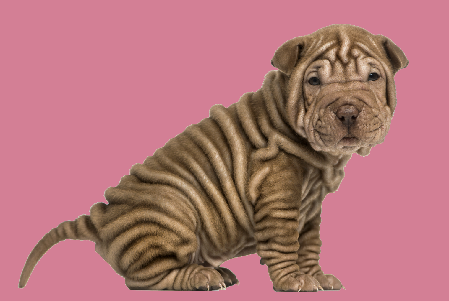 When fine lines and wrinkles are just    fine!!