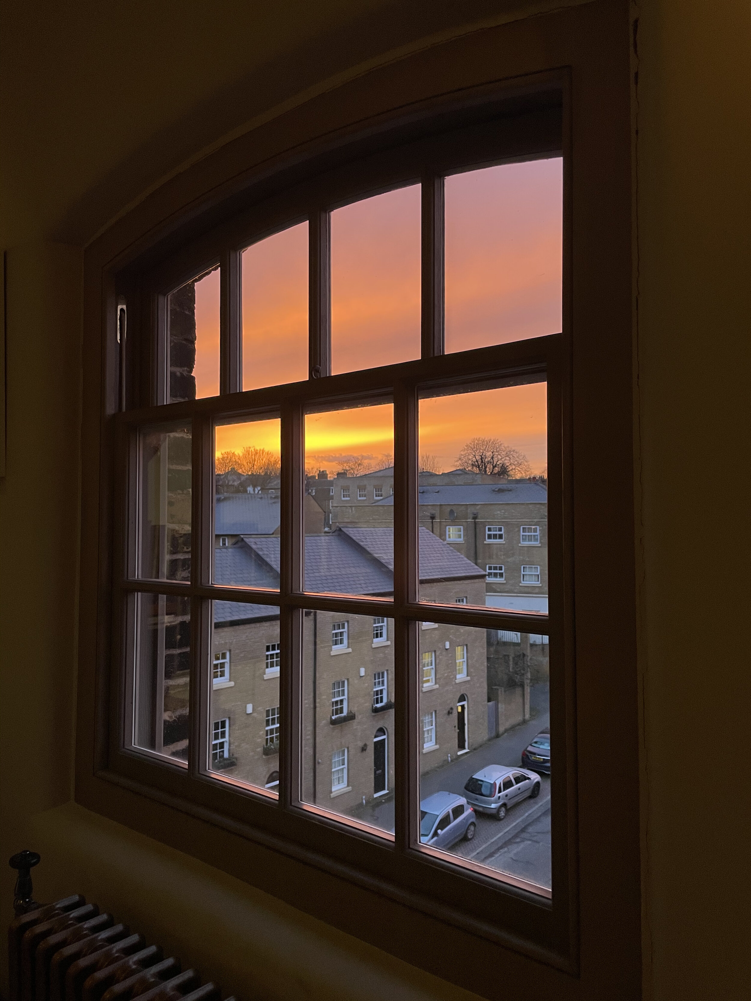 IMG_3295.jpeg