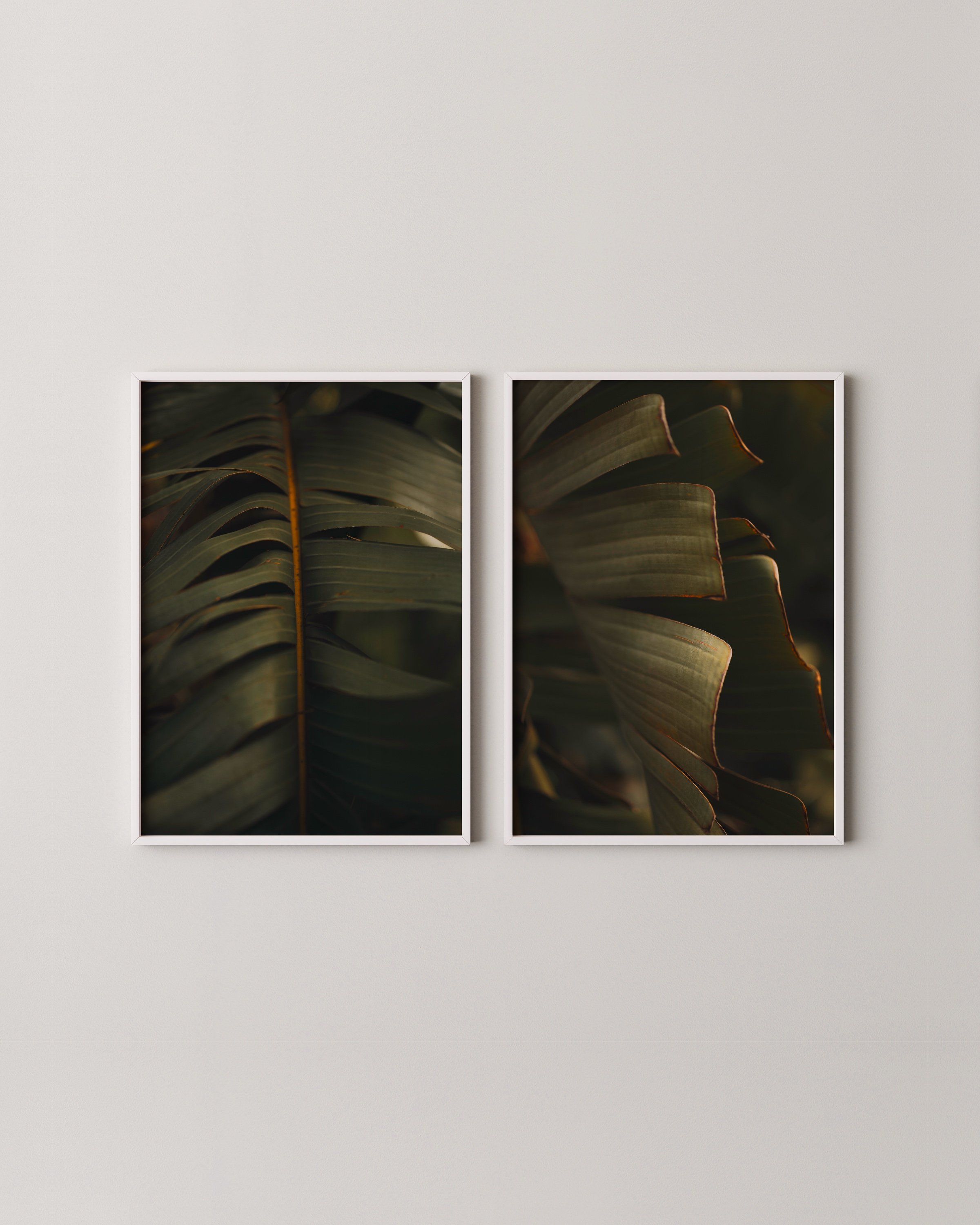 TROPICAL PALM LEAF EDIT. 2.09