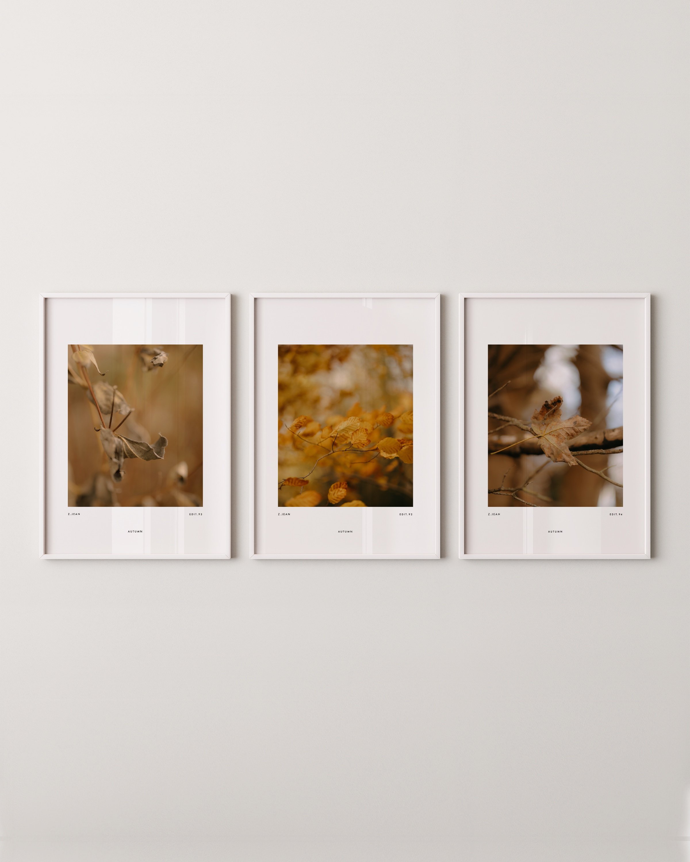 Set of three minimalist autumn wall art prints featuring close-up photography of golden and brown leaves in a warm and earthy color palette.
