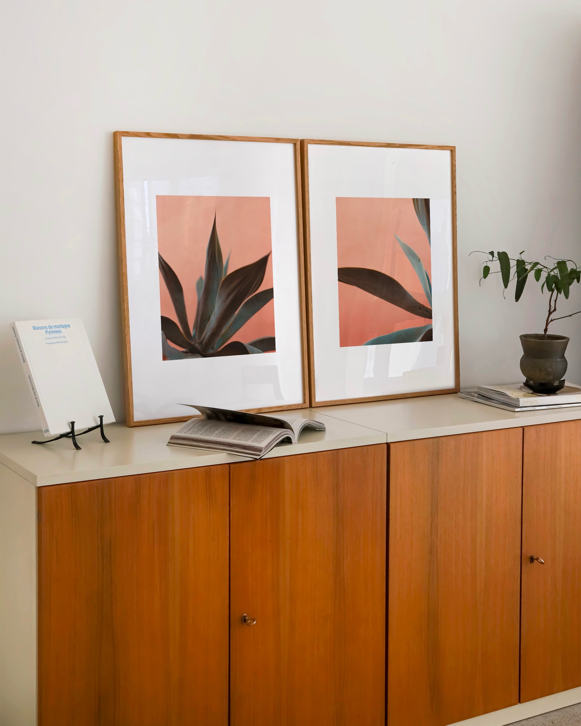 Set of two minimalist botanical prints featuring close-up images of succulent leaves against a soft pink background.