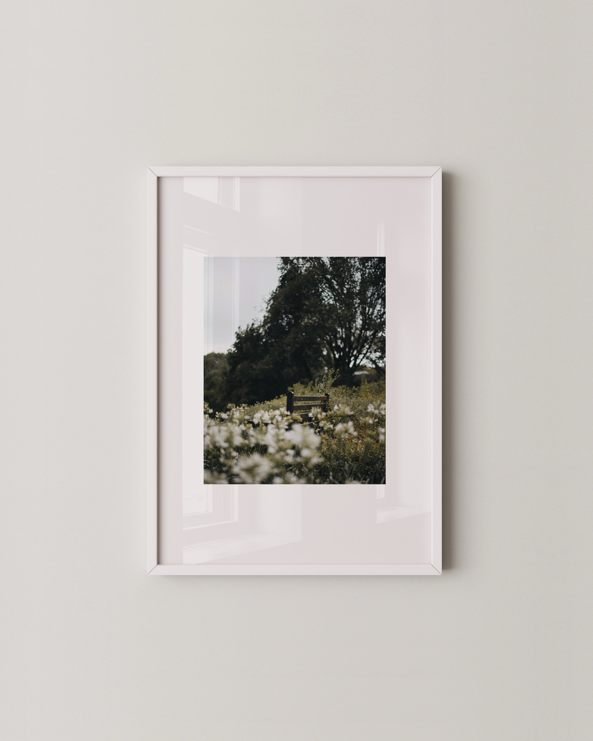 Set of two botanical photo prints, one shows a close-up of a fluffy thistle flower, the other features a peaceful bench in a field of soft white wildflowers.