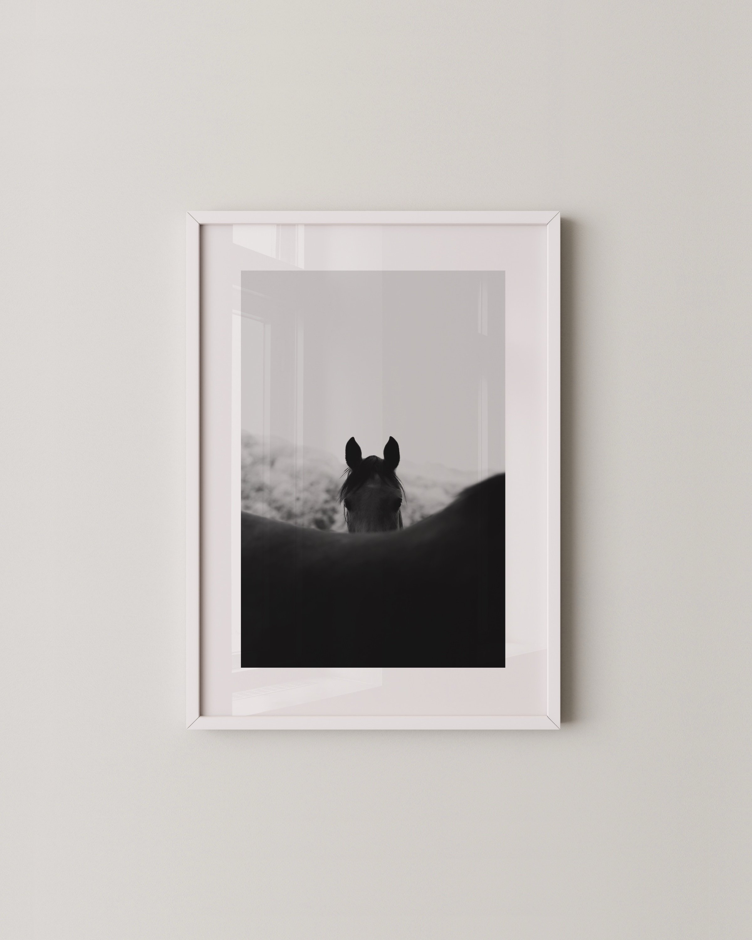 Set of two black and white horse photographs in white frames; one shows a horse peeking over another’s back, the other shows two horses standing side by side behind a fence.