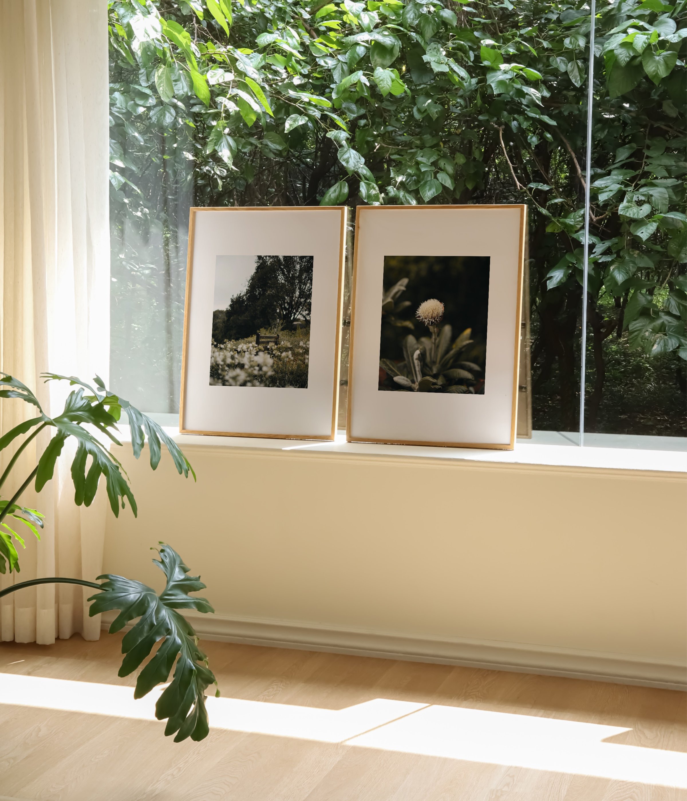 Set of two botanical photo prints, one shows a close-up of a fluffy thistle flower, the other features a peaceful bench in a field of soft white wildflowers.