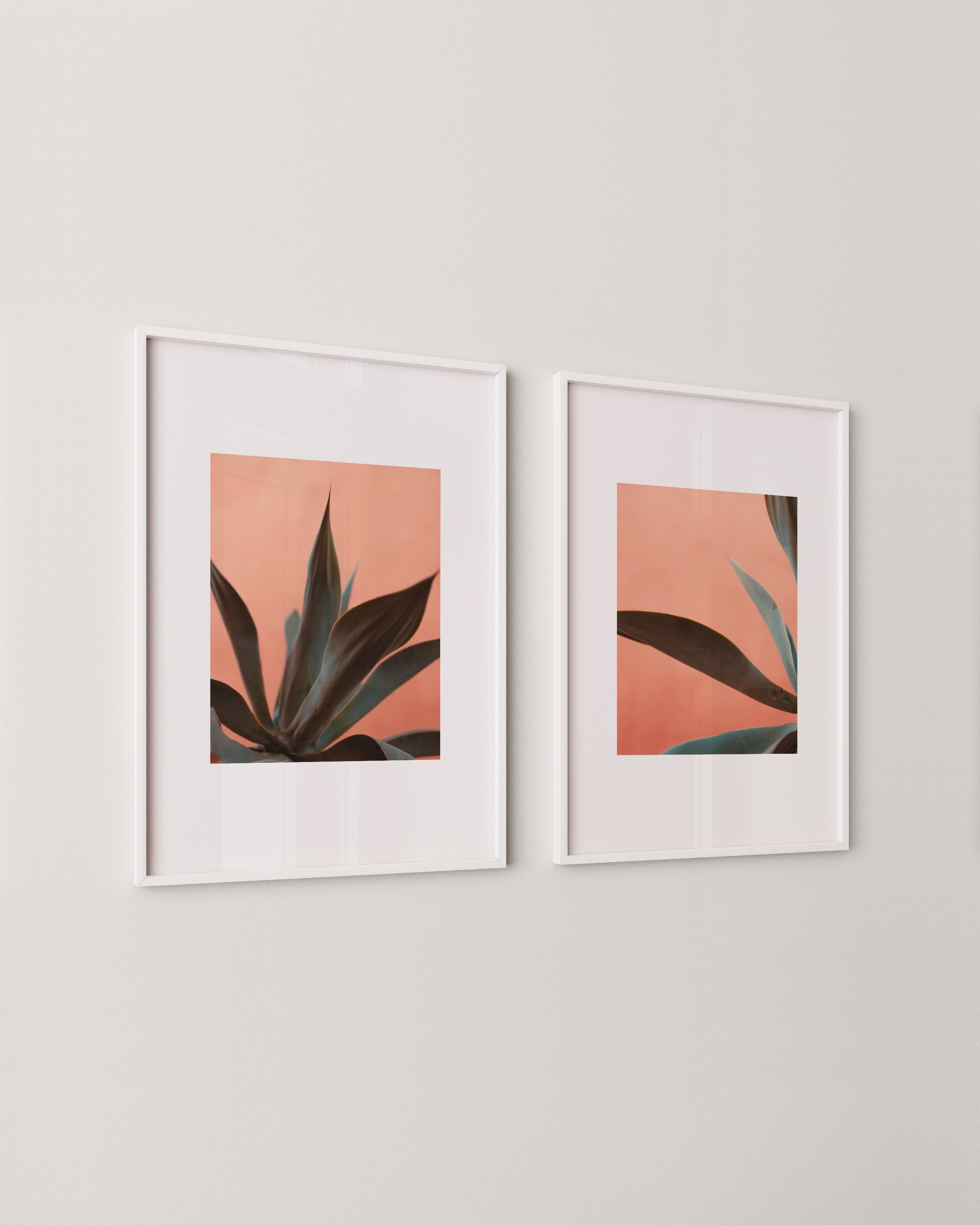 Set of two minimalist botanical prints featuring close-up images of succulent leaves against a soft pink background.