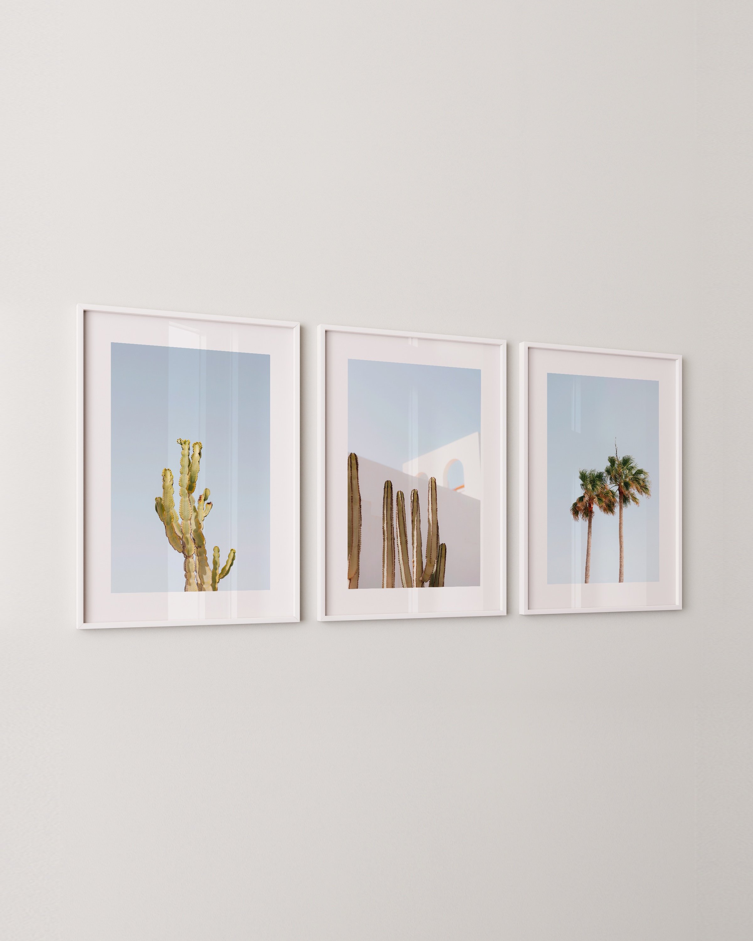 Printable Photography Set Of 3 | Cactus Print | Palm Tree Photo | Summer Aesthetic | Original Prints | Prints2paper