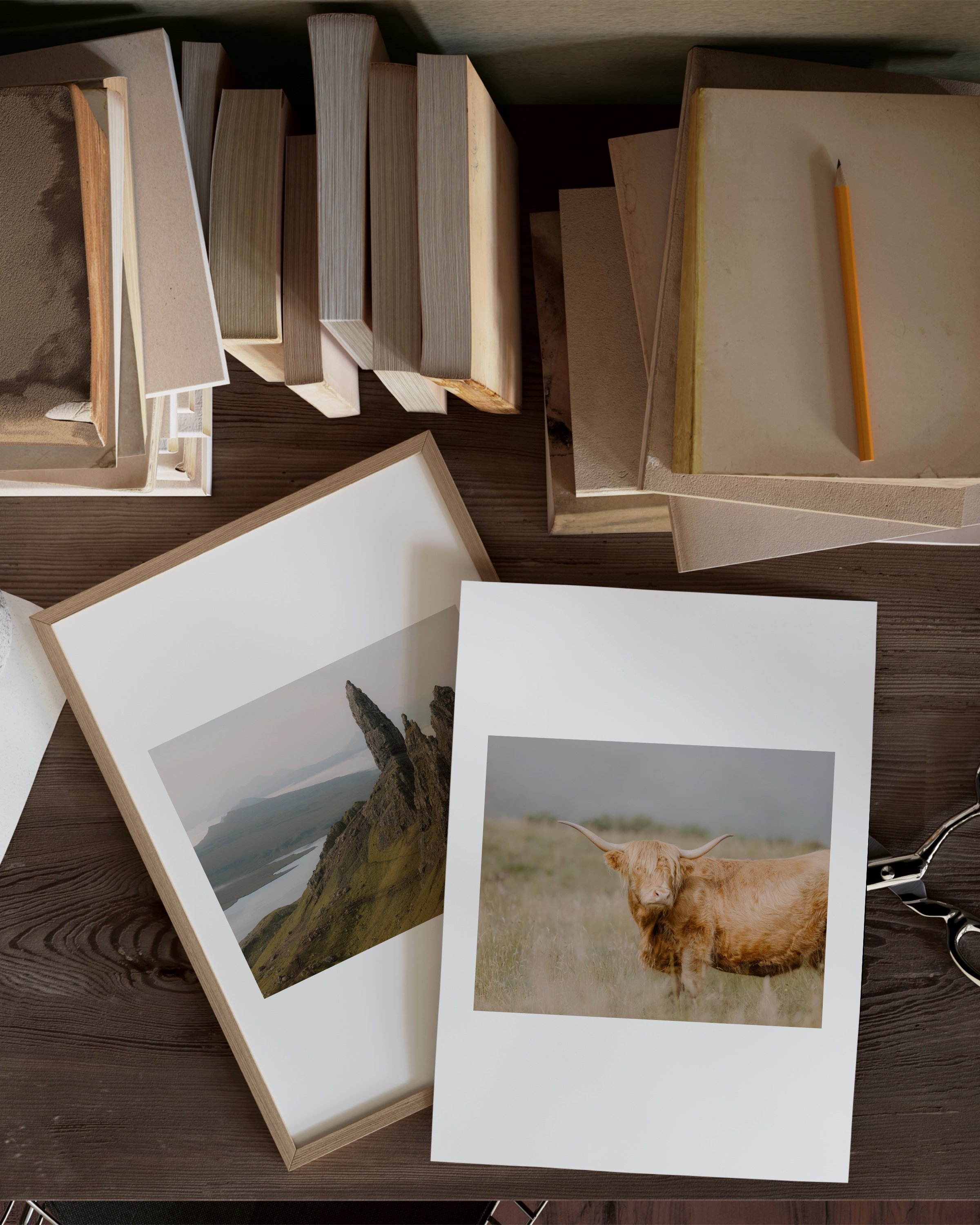 Printable art of a Highland Cow standing in a grassy field, showcasing the serene beauty of the Scottish Highlands.