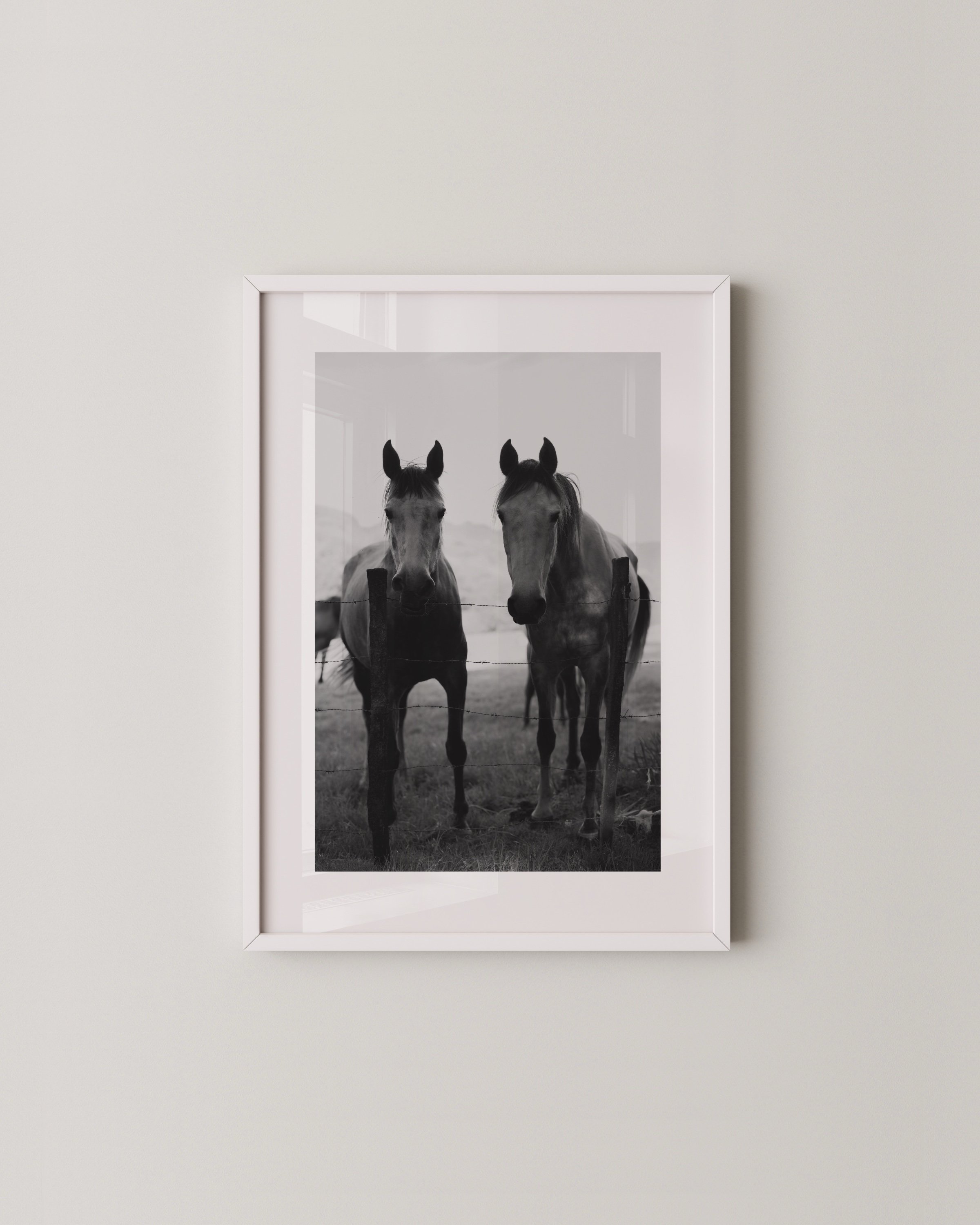 Set of two black and white horse photographs in white frames; one shows a horse peeking over another’s back, the other shows two horses standing side by side behind a fence.
