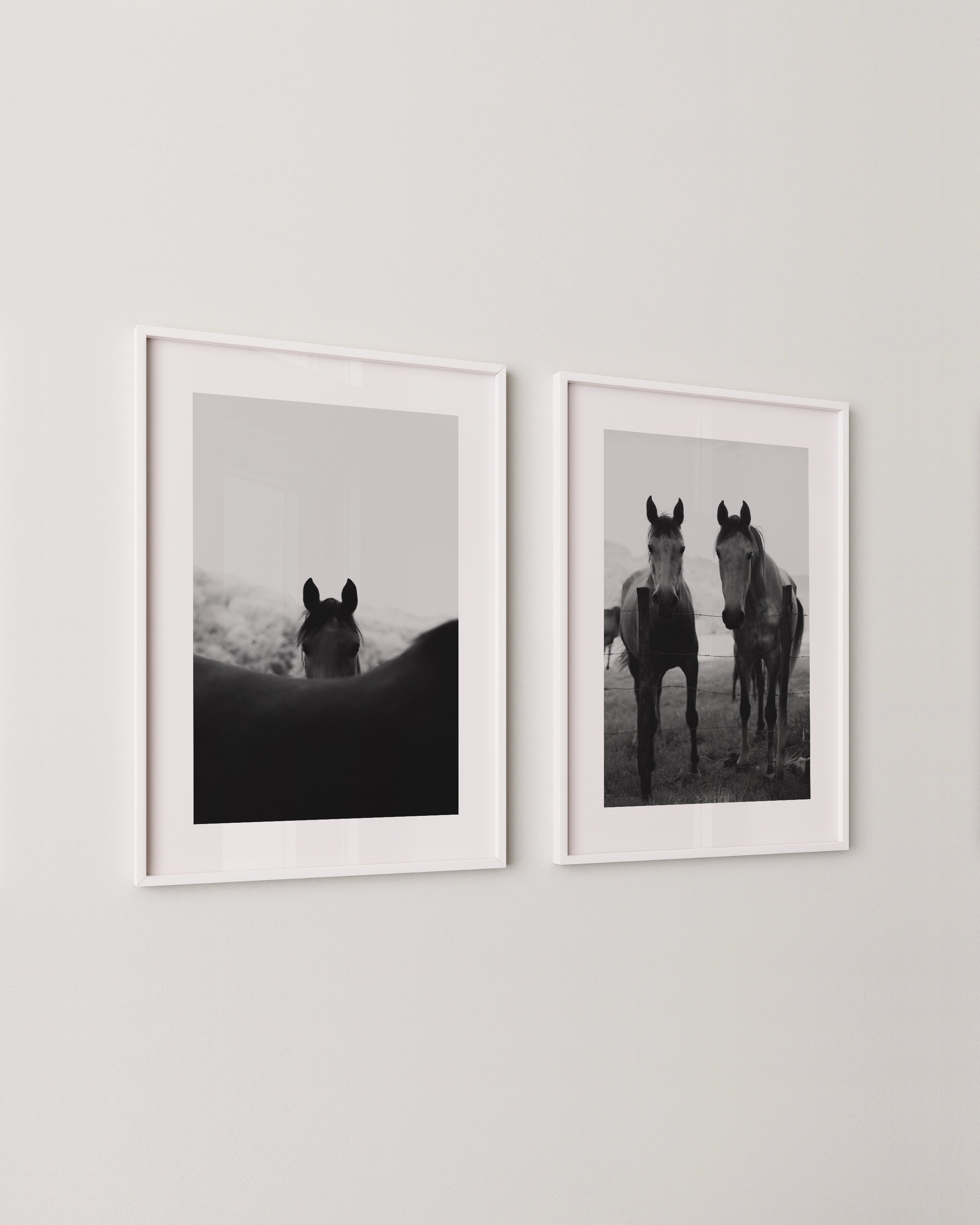 Set of two black and white horse photographs in white frames; one shows a horse peeking over another’s back, the other shows two horses standing side by side behind a fence.