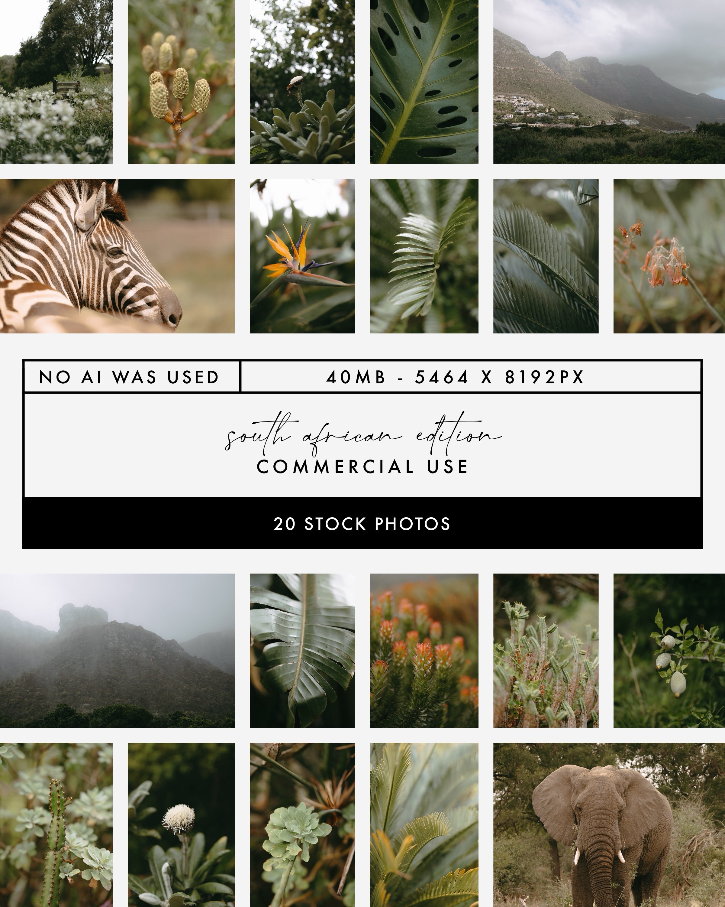 Collection of 20 South African stock photos featuring nature, wildlife, and flora for commercial use, no AI used.