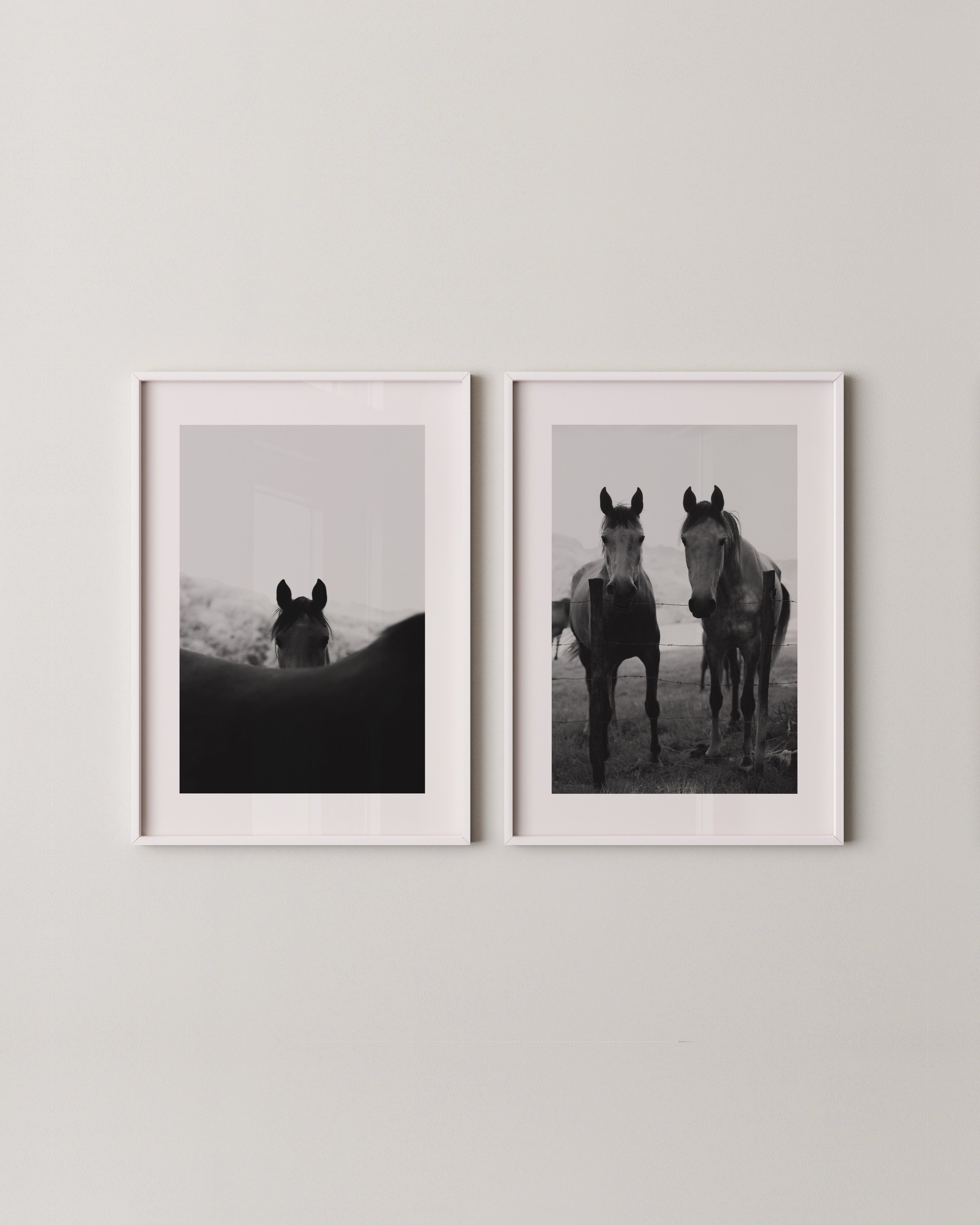 HORSE PHOTOGRAPHY EDIT 2.10