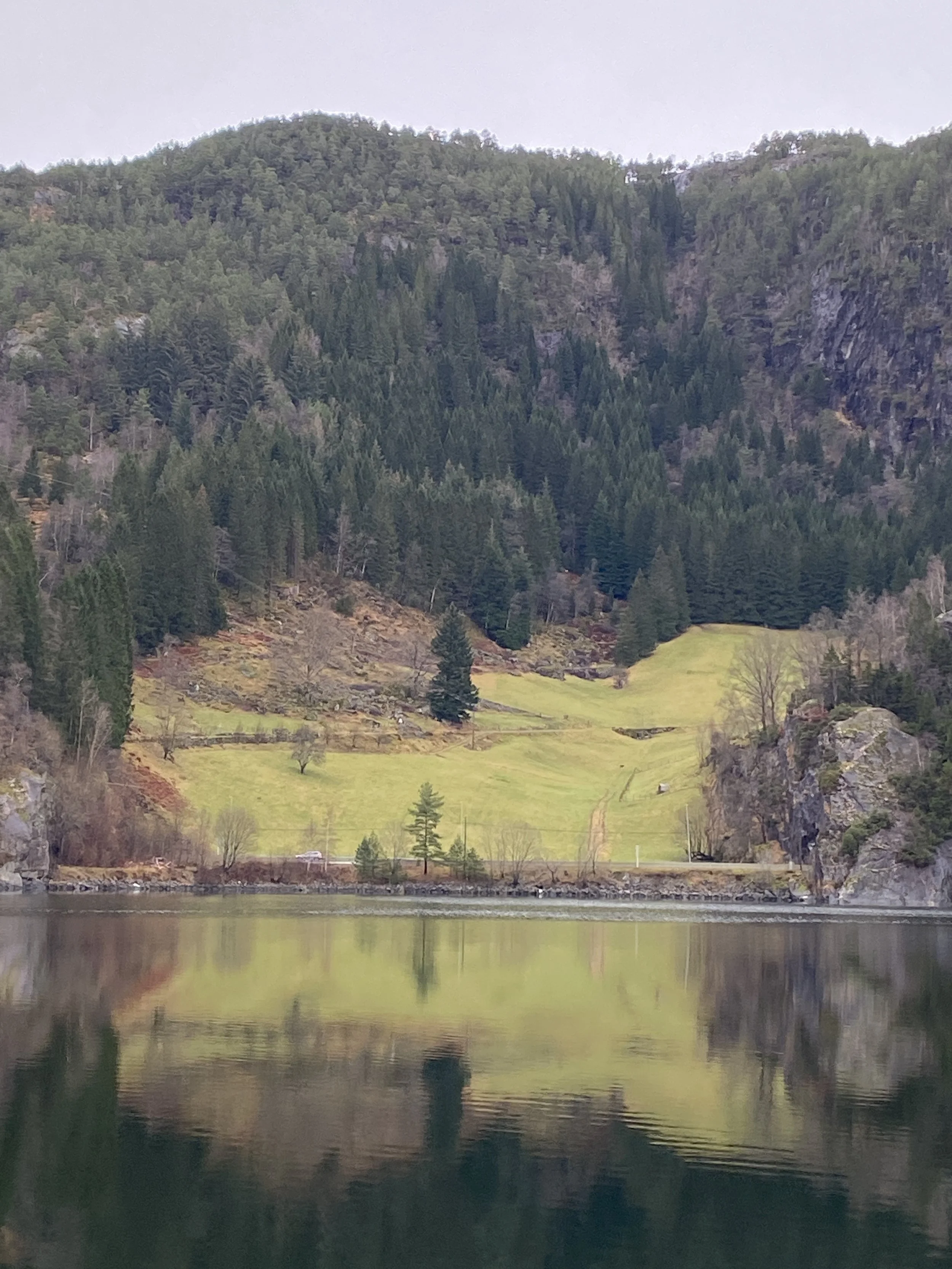 1769A365-6E83-4DB4-AE5F-876AB87D0807.jpeg