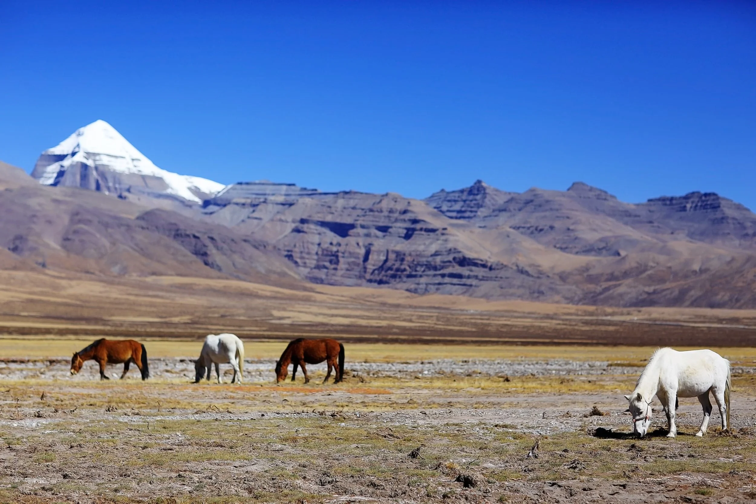 View-on-Mountain-Kailsh.jpg