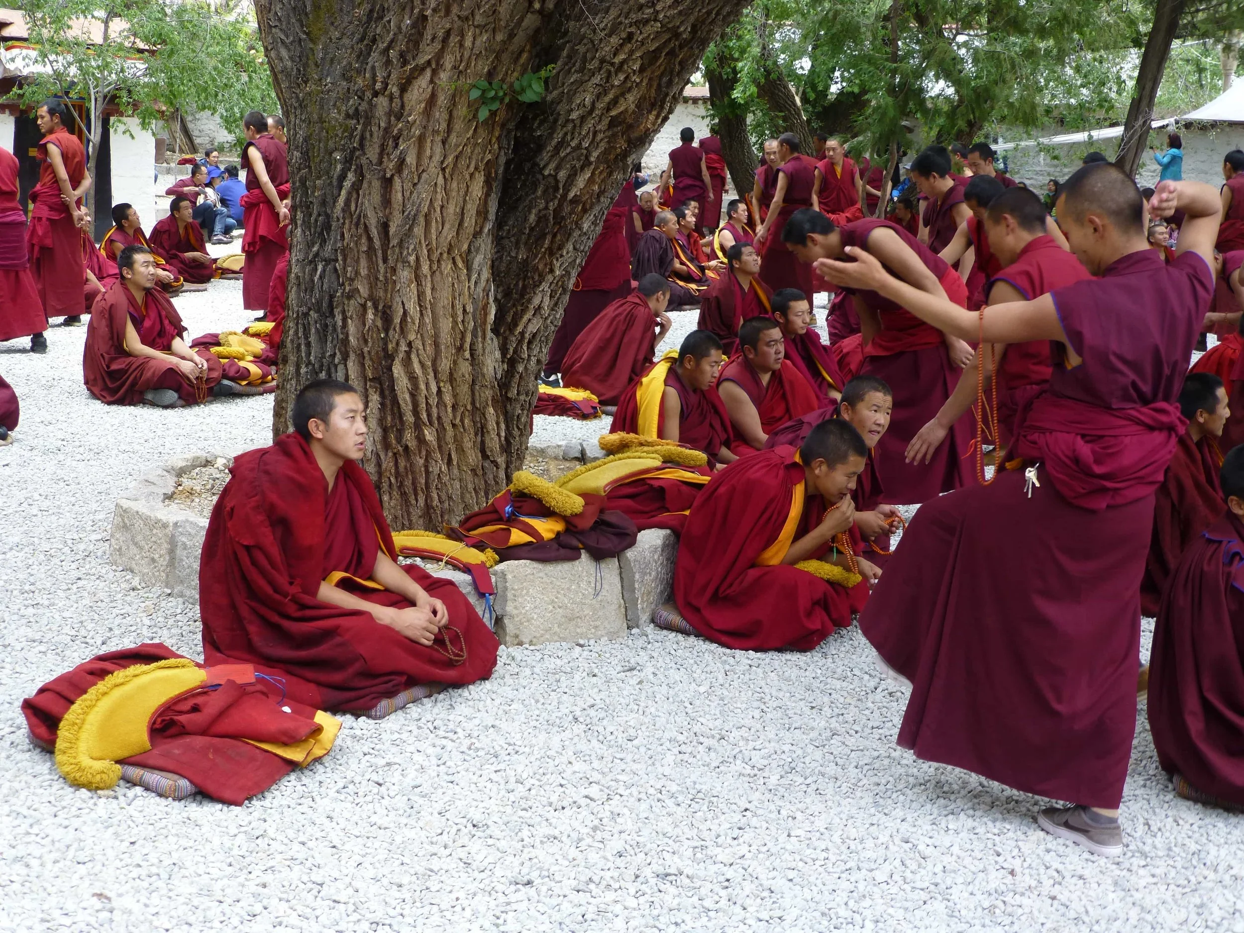 Monks-in-Sera.jpg