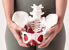 Pelvic Organ Prolapse...Is it all about Strengthening the Pelvic Floor?