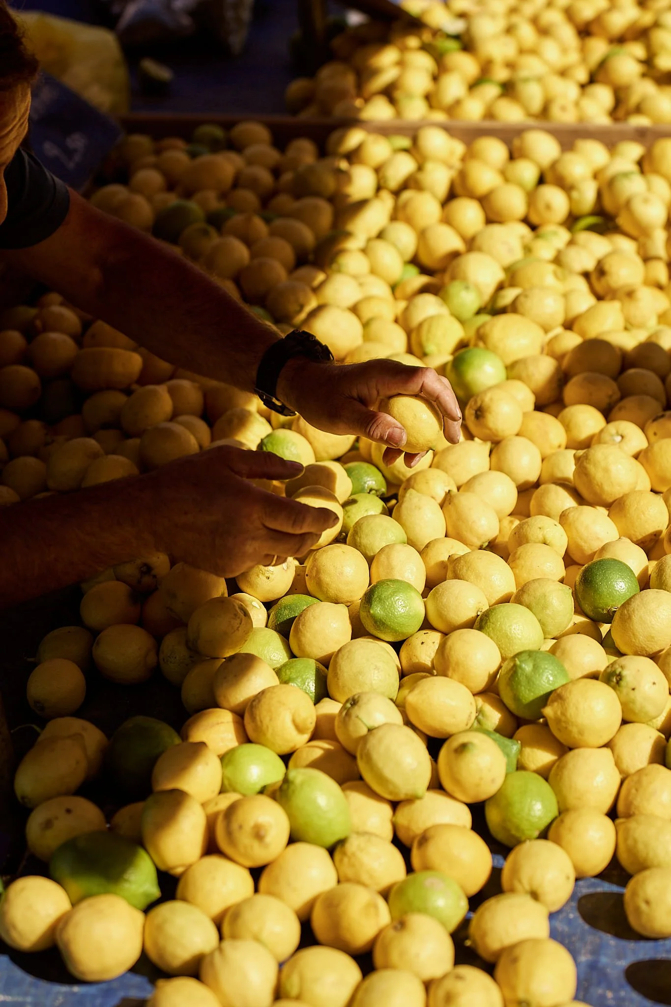 Sellas_SBouzoukas_Web size_27.jpg