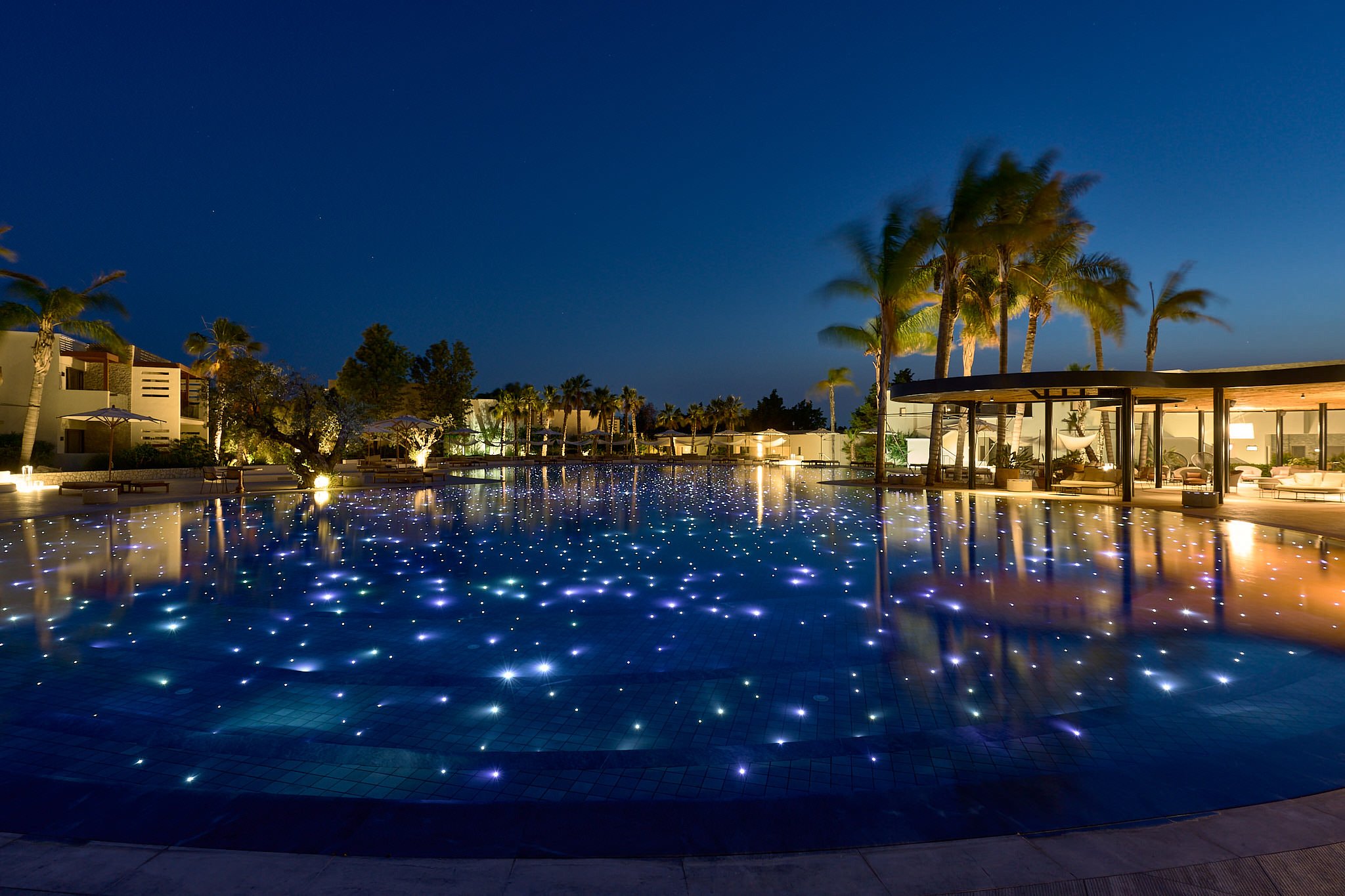 A luxurious outdoor swimming pool at night with colorful underwater lights, surrounded by palm trees and modern buildings, under a clear dark sky.